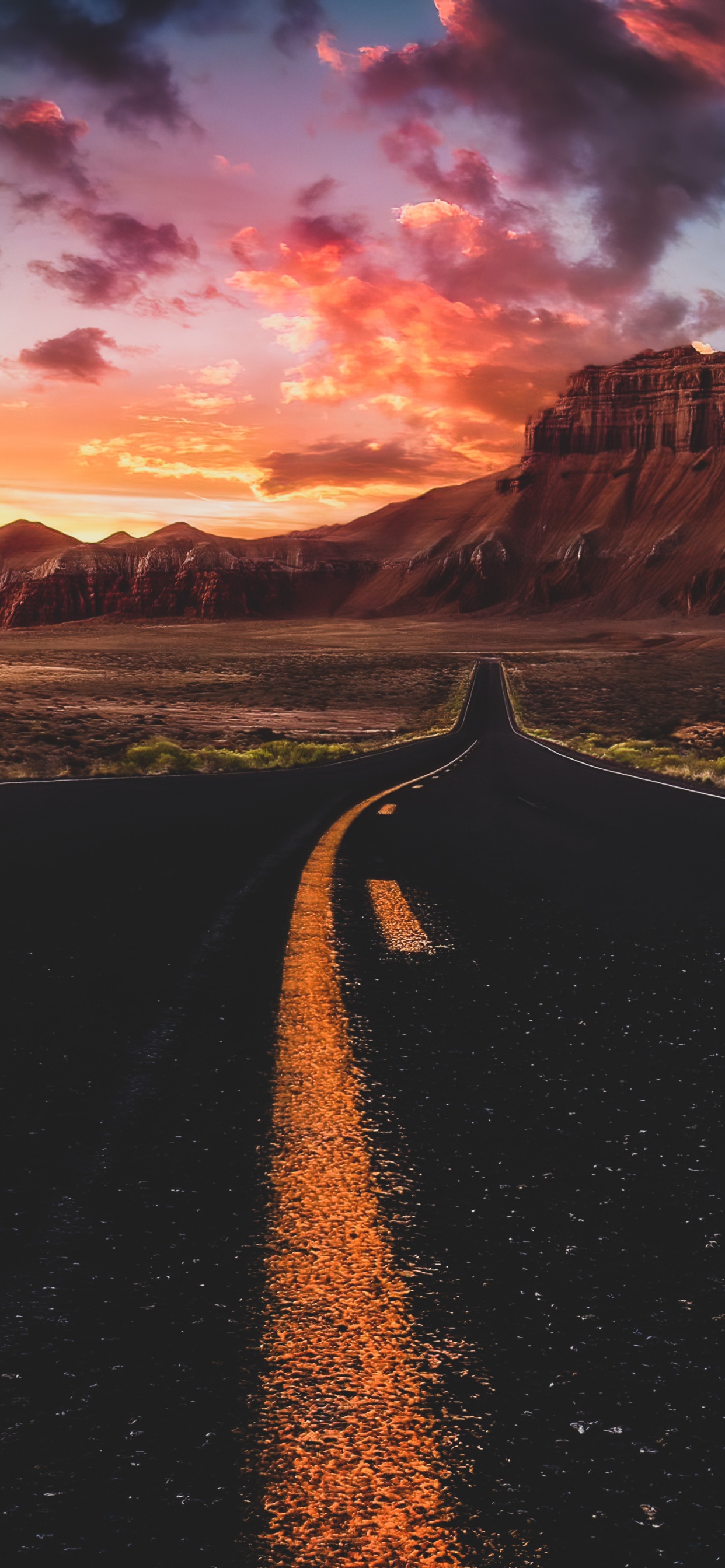 Обои облако, растение, экорегион, гора, природный ландшафт в разрешении 1242x2688