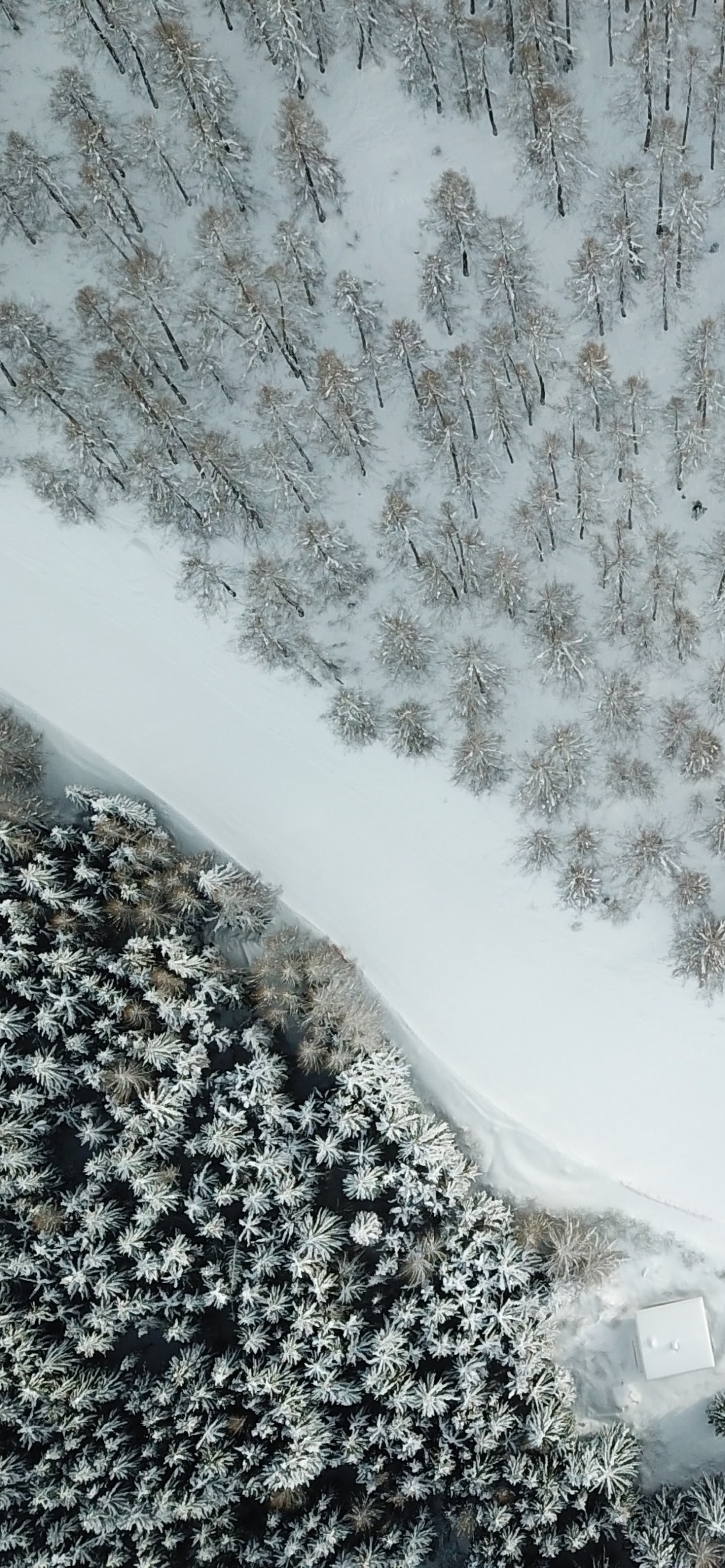 Обои снег, зима, вода, гидроресурсы, природный ландшафт в разрешении 1242x2688