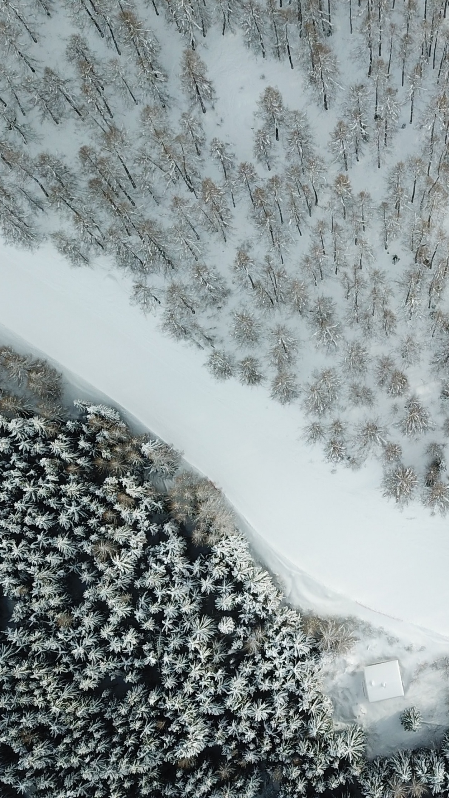 Обои снег, зима, вода, гидроресурсы, природный ландшафт в разрешении 1440x2560