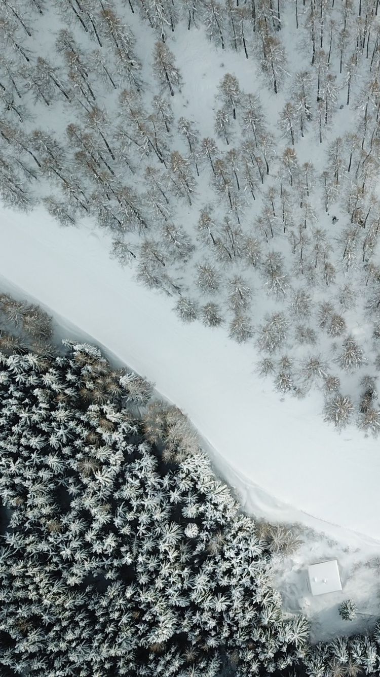 Обои снег, зима, вода, гидроресурсы, природный ландшафт в разрешении 750x1334