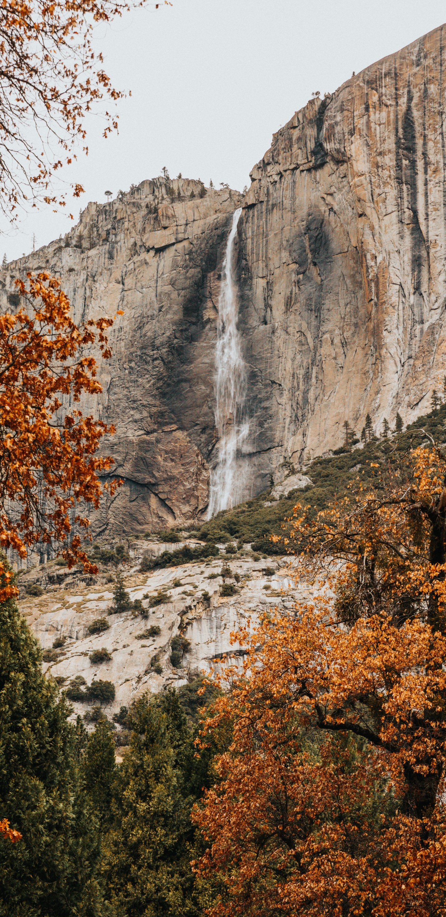 Обои водопад, обрыв, национальный парк, природа, природный ландшафт в разрешении 1440x2960