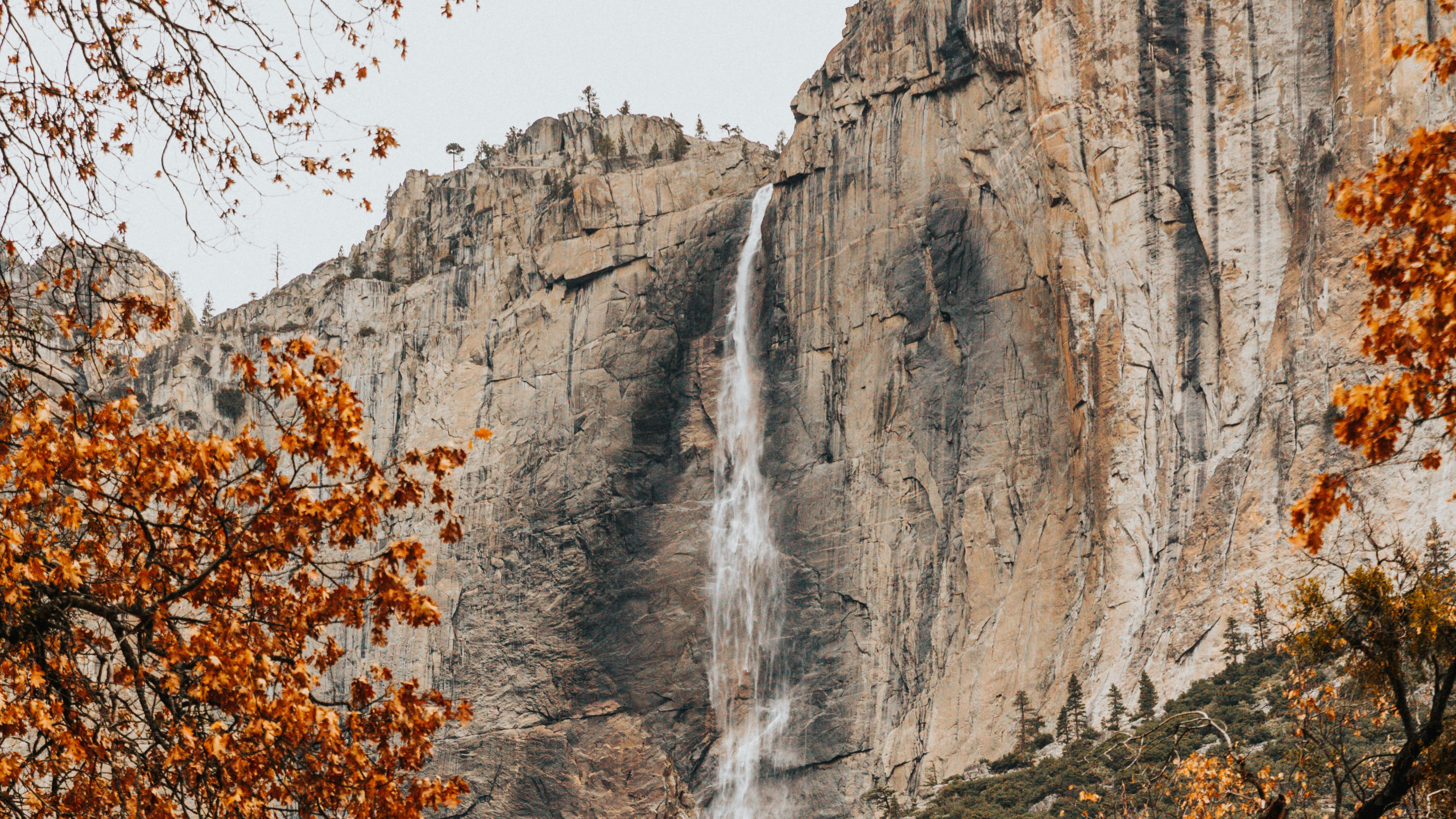 Обои водопад, обрыв, национальный парк, природа, природный ландшафт в разрешении 2560x1440
