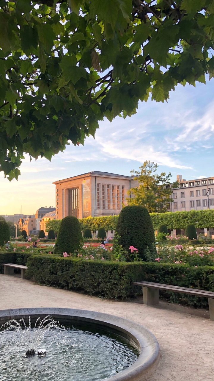 Обои вода, сад, недвижимость, лист, водные элементы в разрешении 720x1280