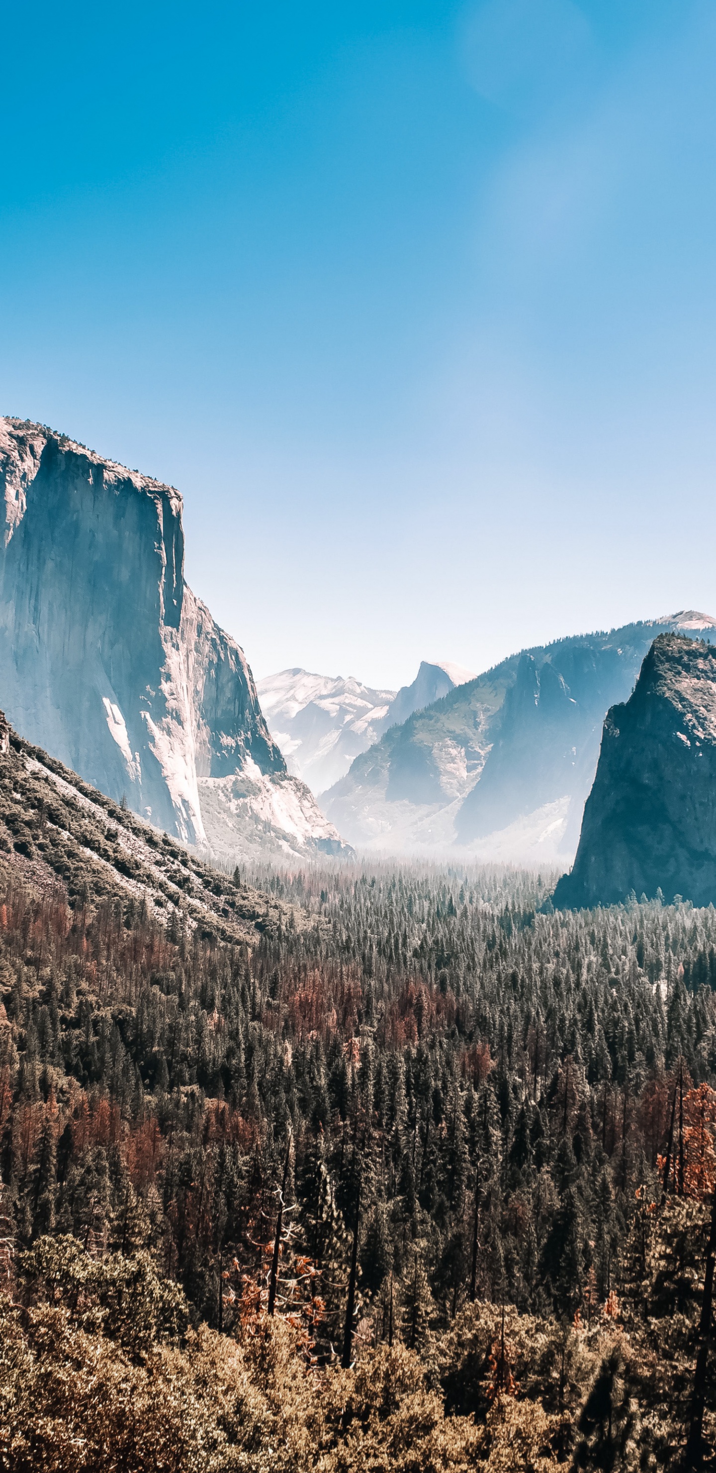 Обои йосемитский национальный парк, национальный парк, йосемити, природа, гора в разрешении 1440x2960