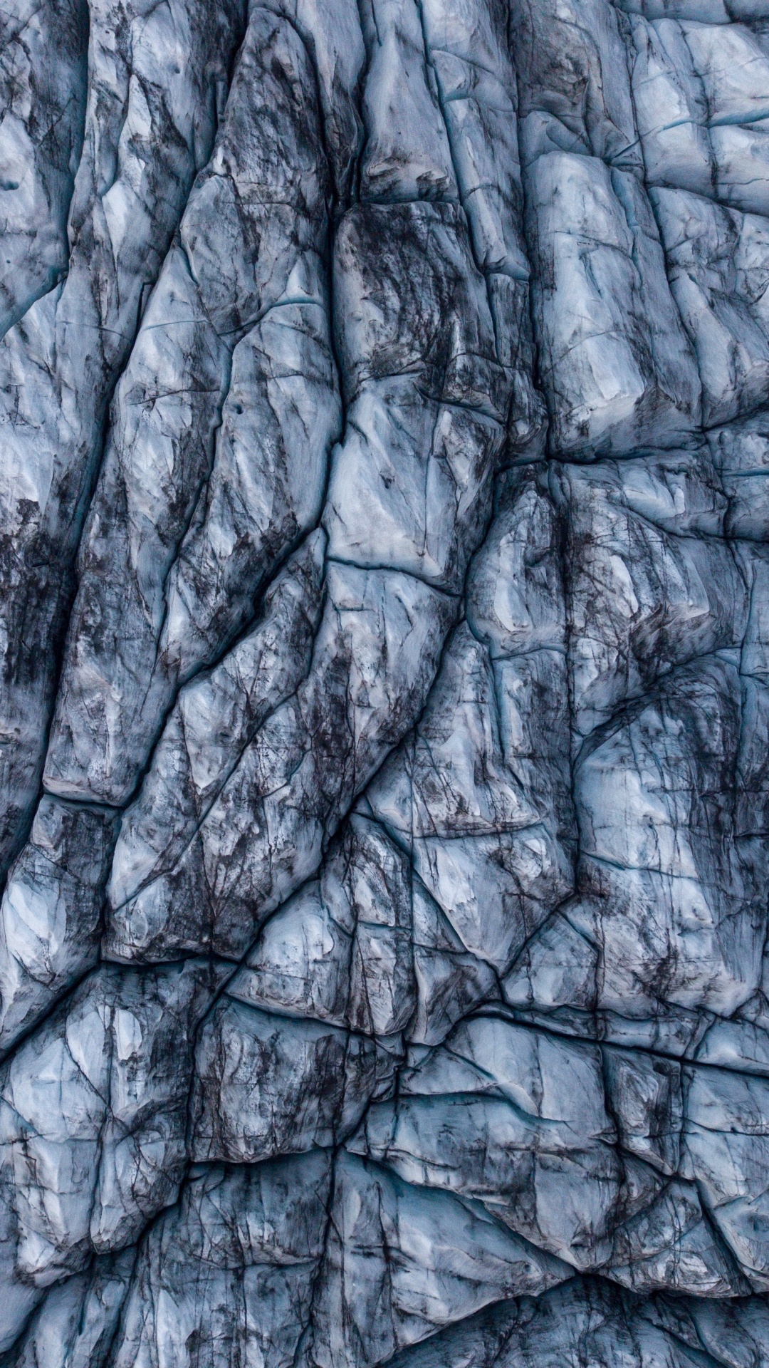 Обои ветвь, дерево, узор, рок, зима в разрешении 1080x1920