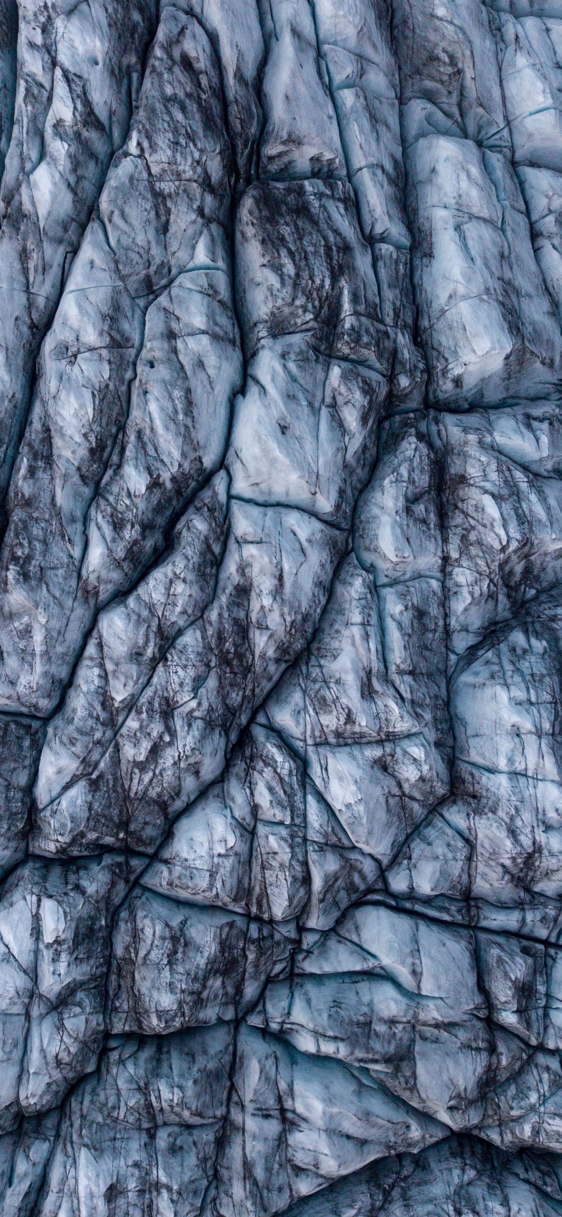 Обои ветвь, дерево, узор, рок, зима в разрешении 1125x2436