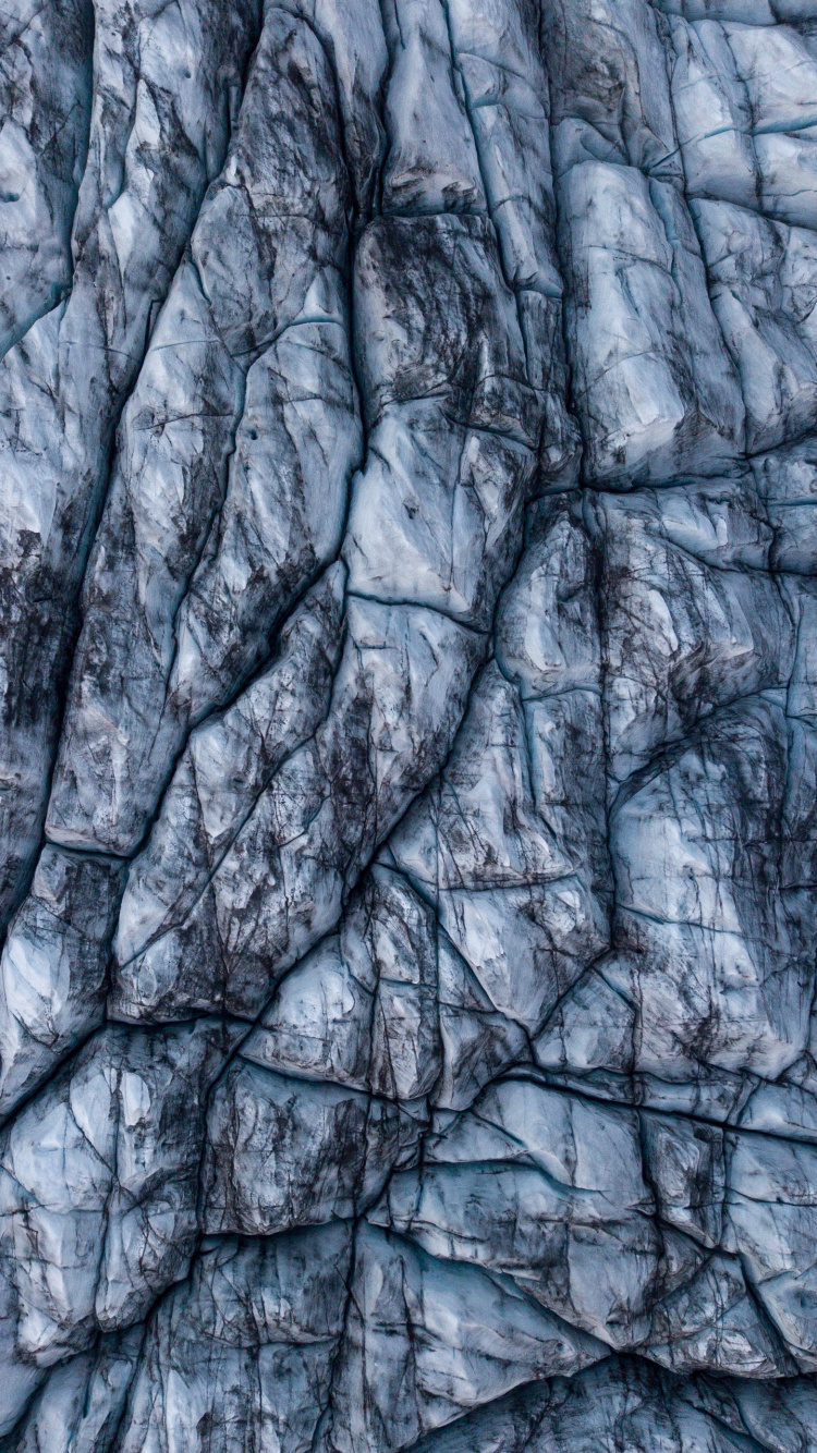 Обои ветвь, дерево, узор, рок, зима в разрешении 750x1334