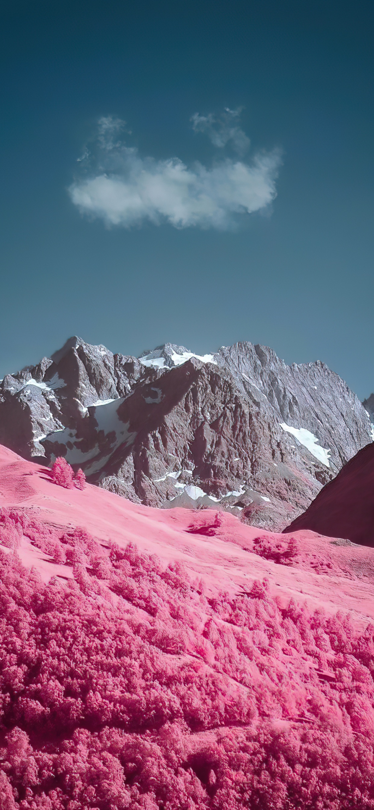 Обои яблоко, смартфон, облако, растение, гора в разрешении 1242x2688