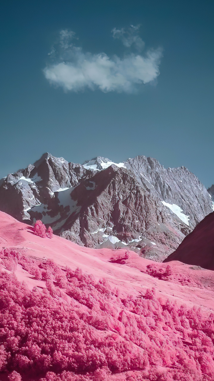 Обои яблоко, смартфон, облако, растение, гора в разрешении 720x1280