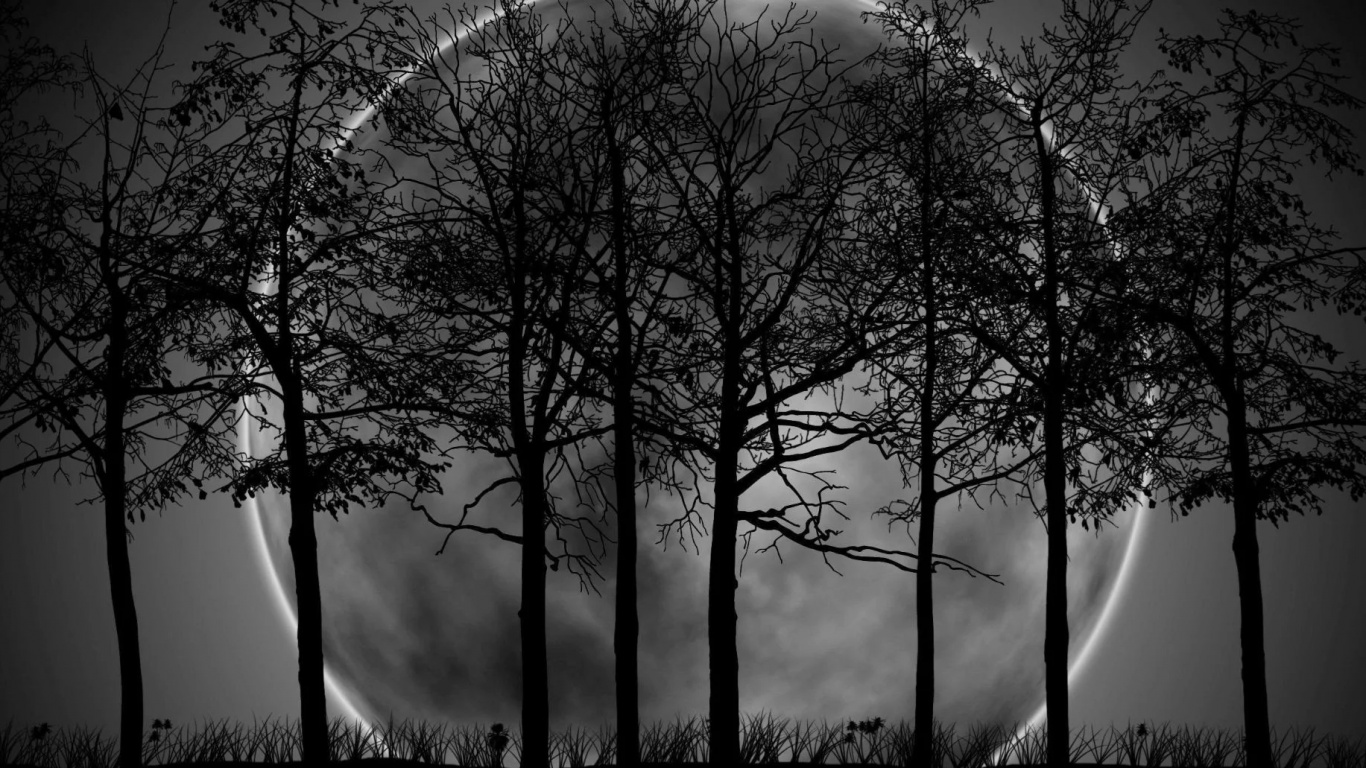 Обои фреска, атмосфера, растение, природный ландшафт, прут в разрешении 1366x768