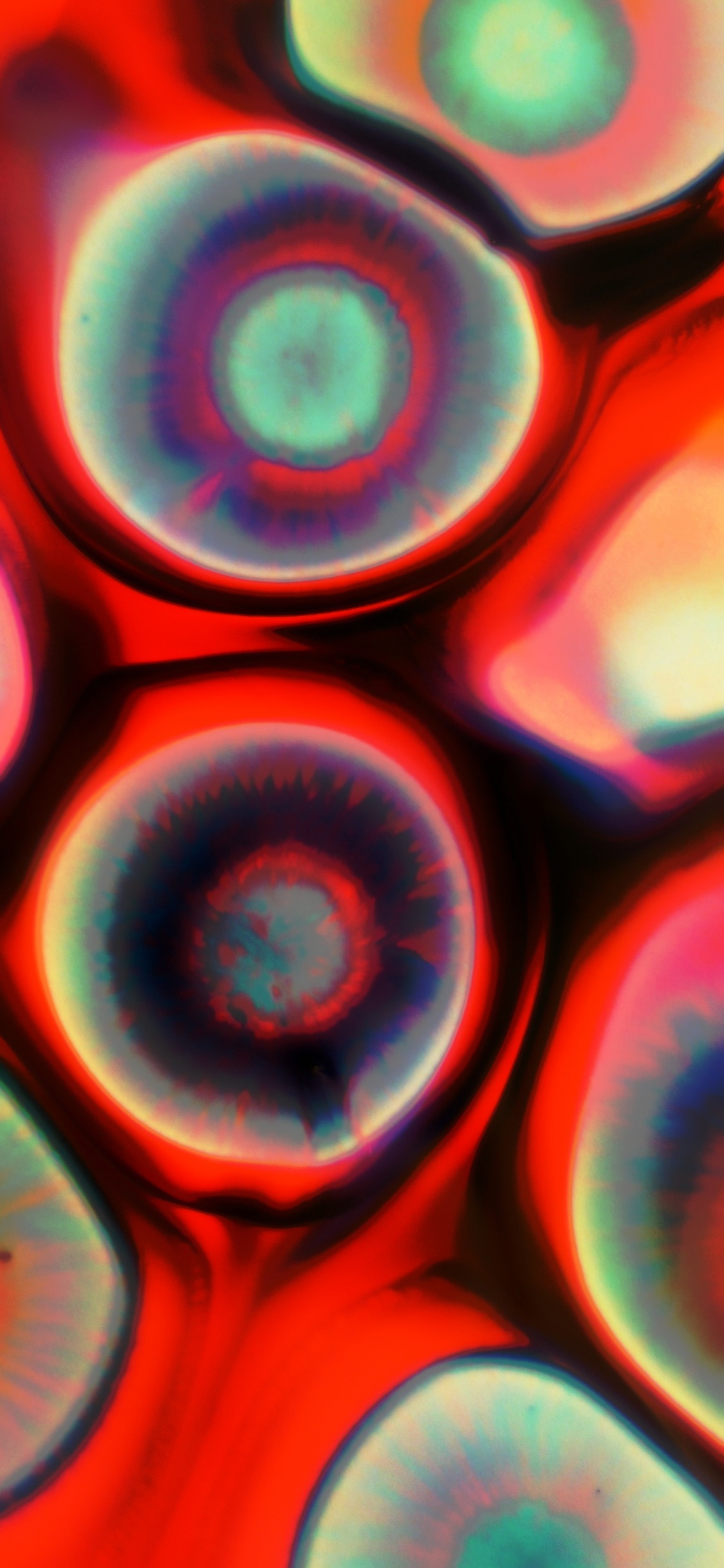 Обои крупный план, красочность, свет, красный цвет, арт в разрешении 1125x2436