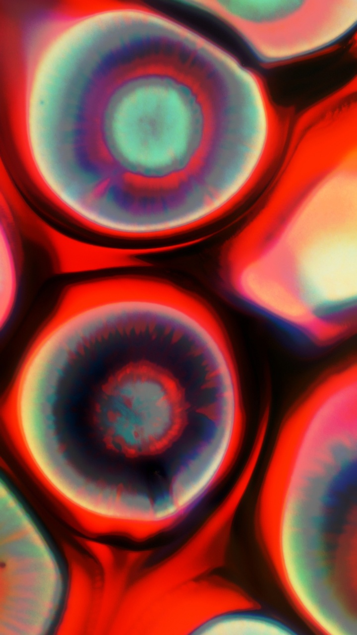 Обои крупный план, красочность, свет, красный цвет, арт в разрешении 720x1280