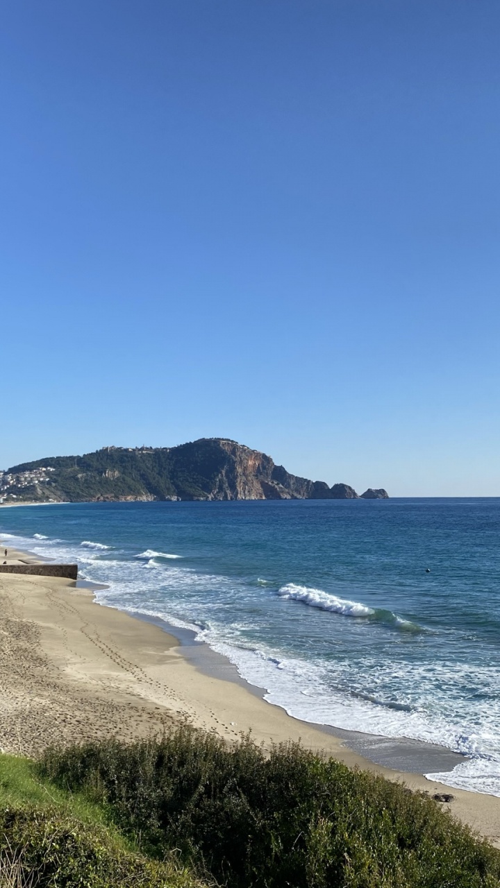 Обои побережье, вода, растение, лазурный, природный ландшафт в разрешении 720x1280