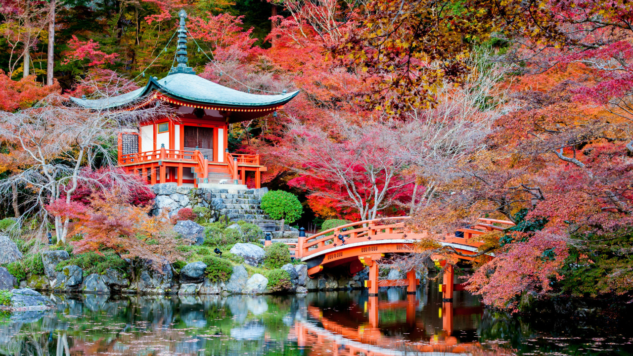 Обои природа, дерево, лист, осень, отражение в разрешении 1280x720