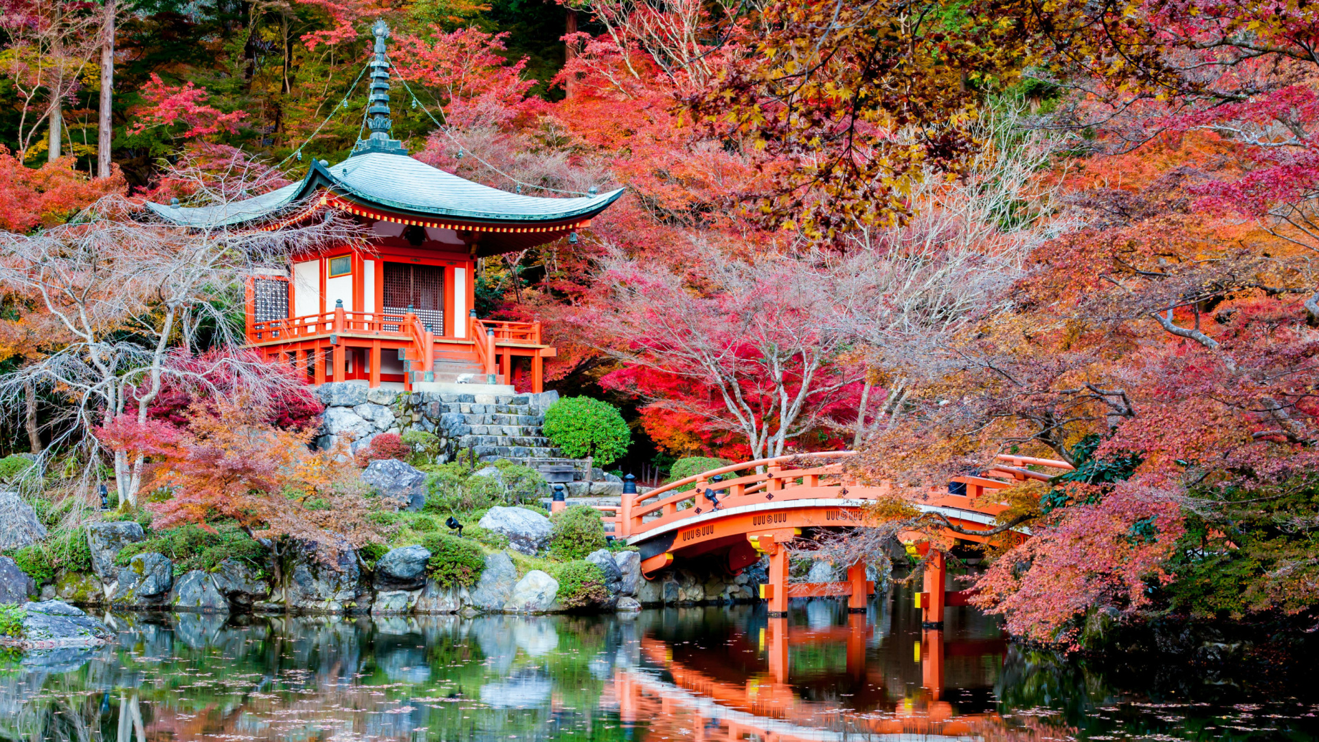 Обои природа, дерево, лист, осень, отражение в разрешении 1920x1080