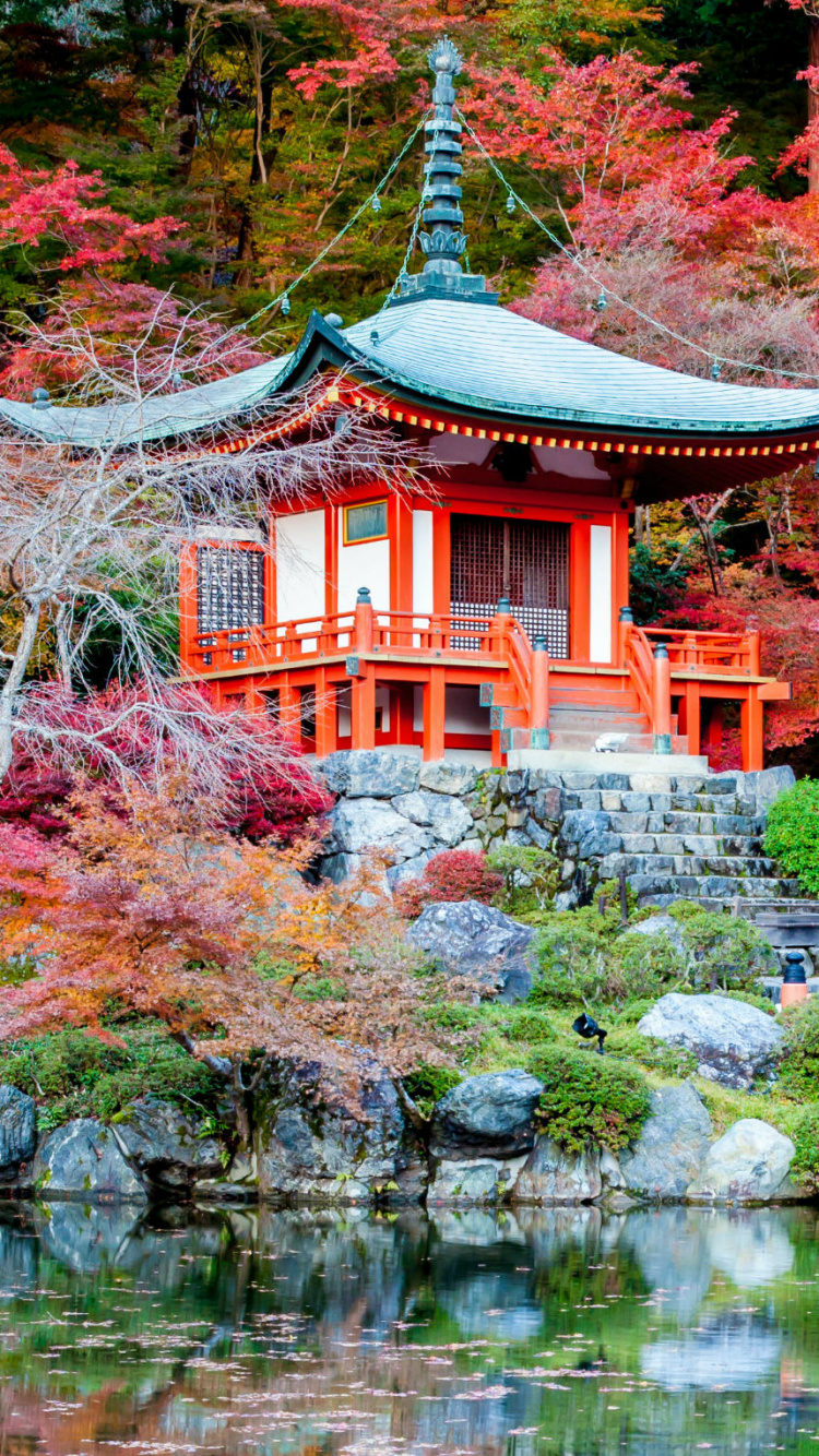 Обои природа, дерево, лист, осень, отражение в разрешении 750x1334