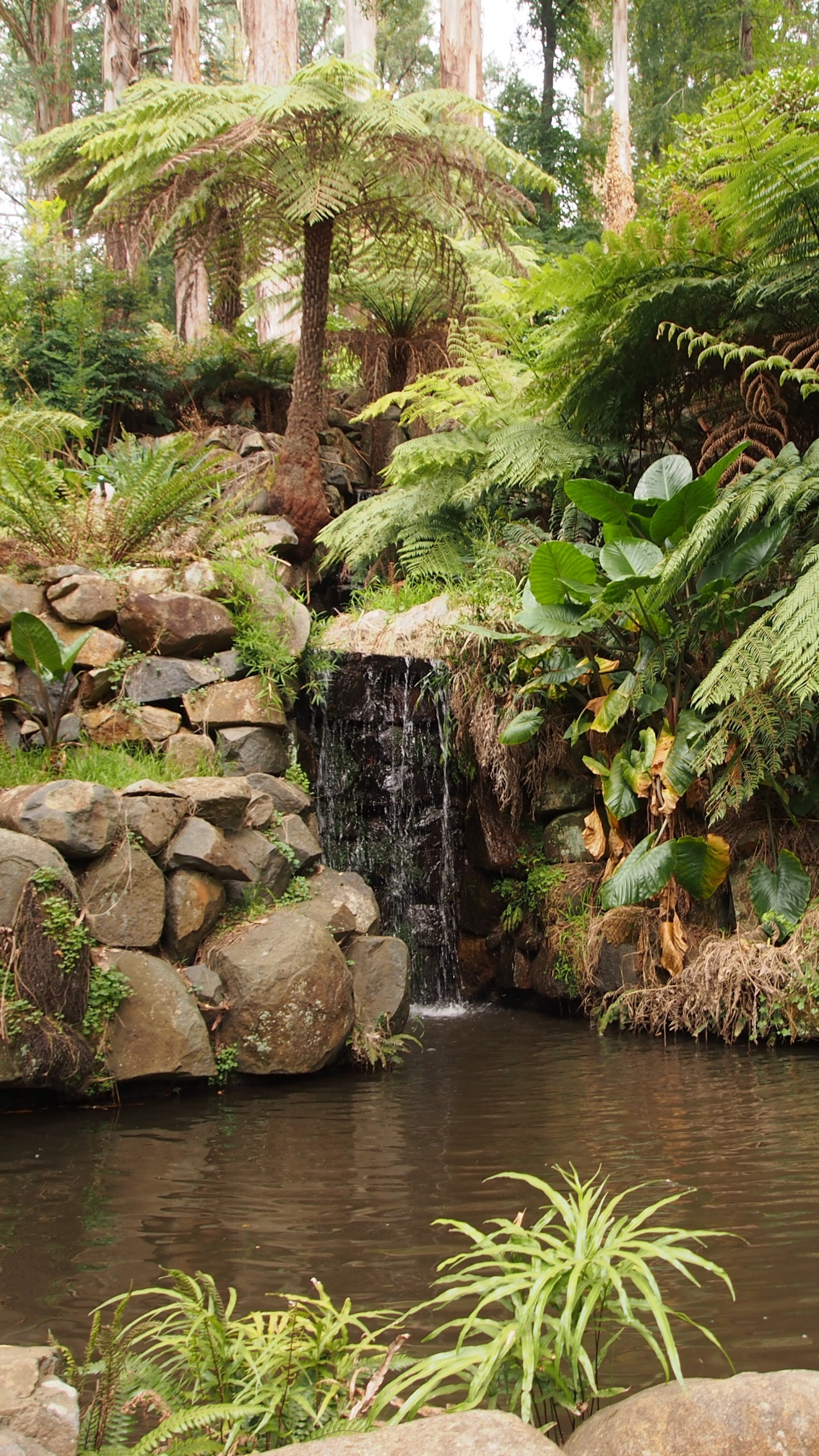 Обои Альфред Николай Мемориальный Сад, Ботанический сад, сад, природа, растительность в разрешении 1440x2560