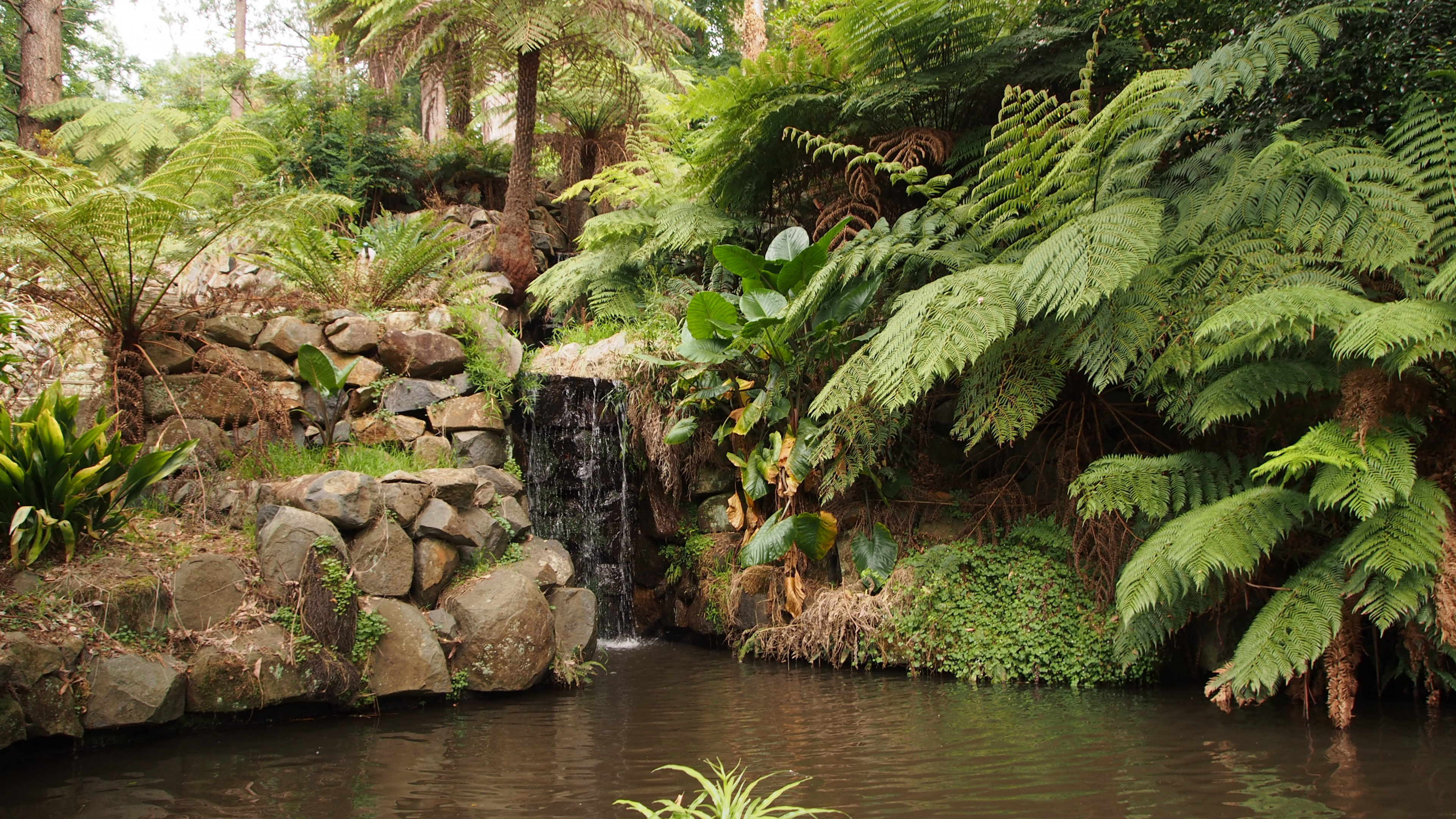 Обои Альфред Николай Мемориальный Сад, Ботанический сад, сад, природа, растительность в разрешении 3840x2160