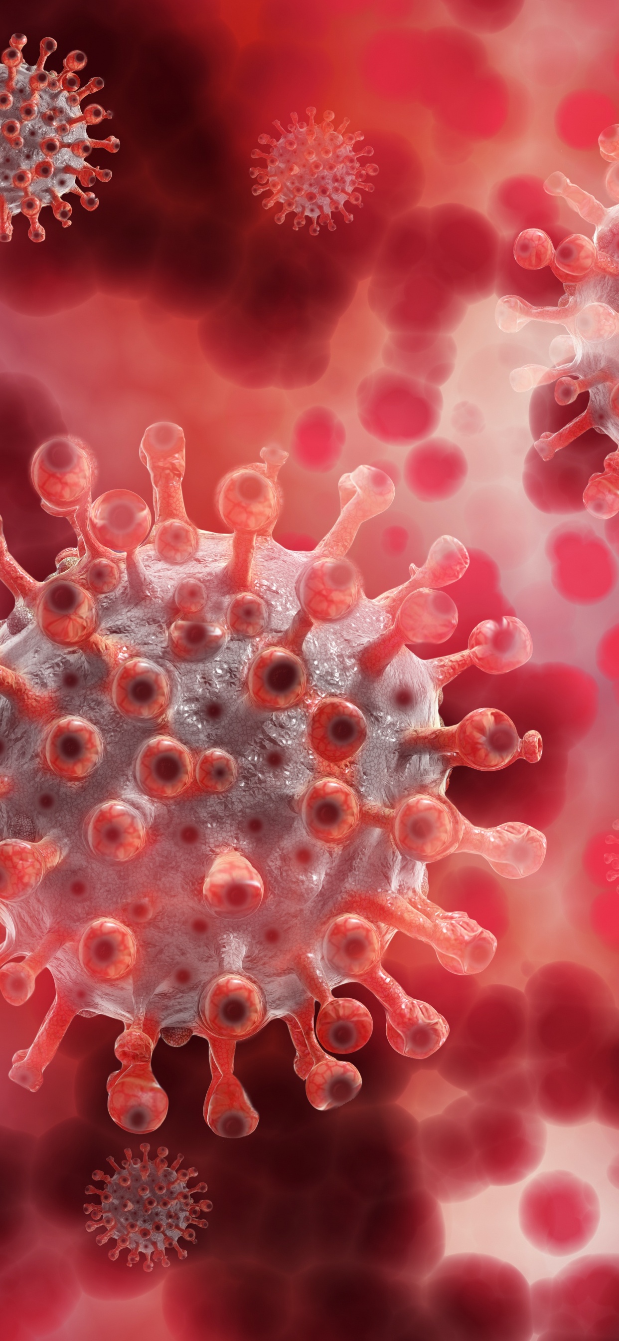 Обои вирус, коронавирус, COVID-19, пандемия, COVID-19 вакцина в разрешении 1242x2688