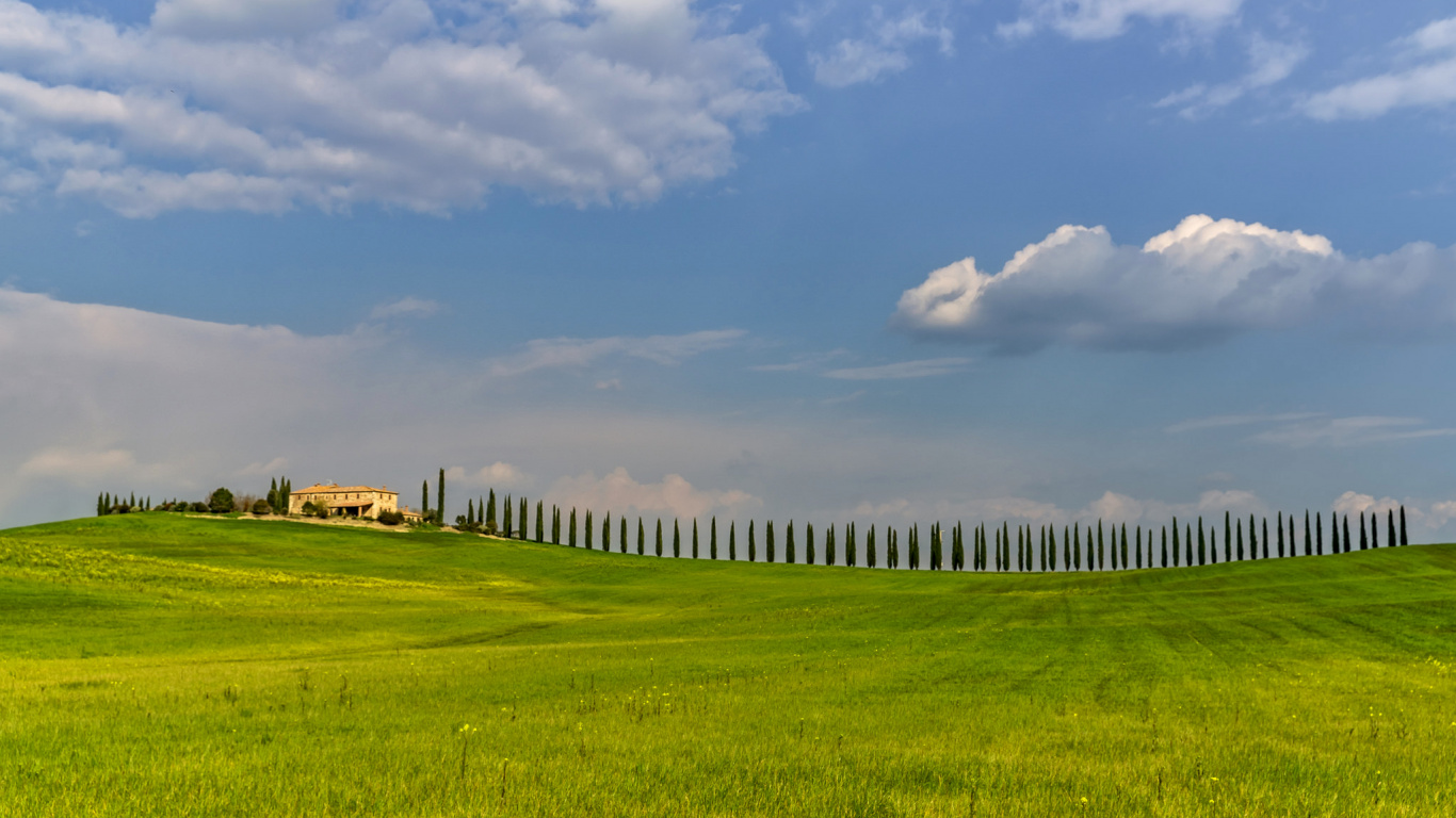 Обои сенокосное угодье, выгон, облако, поле, дневное время в разрешении 1366x768