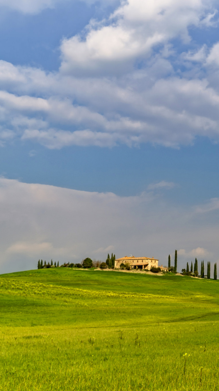 Обои сенокосное угодье, выгон, облако, поле, дневное время в разрешении 750x1334