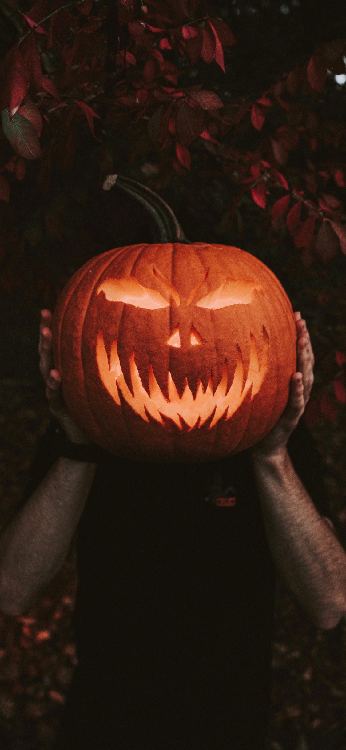 Обои Джек о фонарь, одежда, свеча, арт, резьба в разрешении 1125x2436