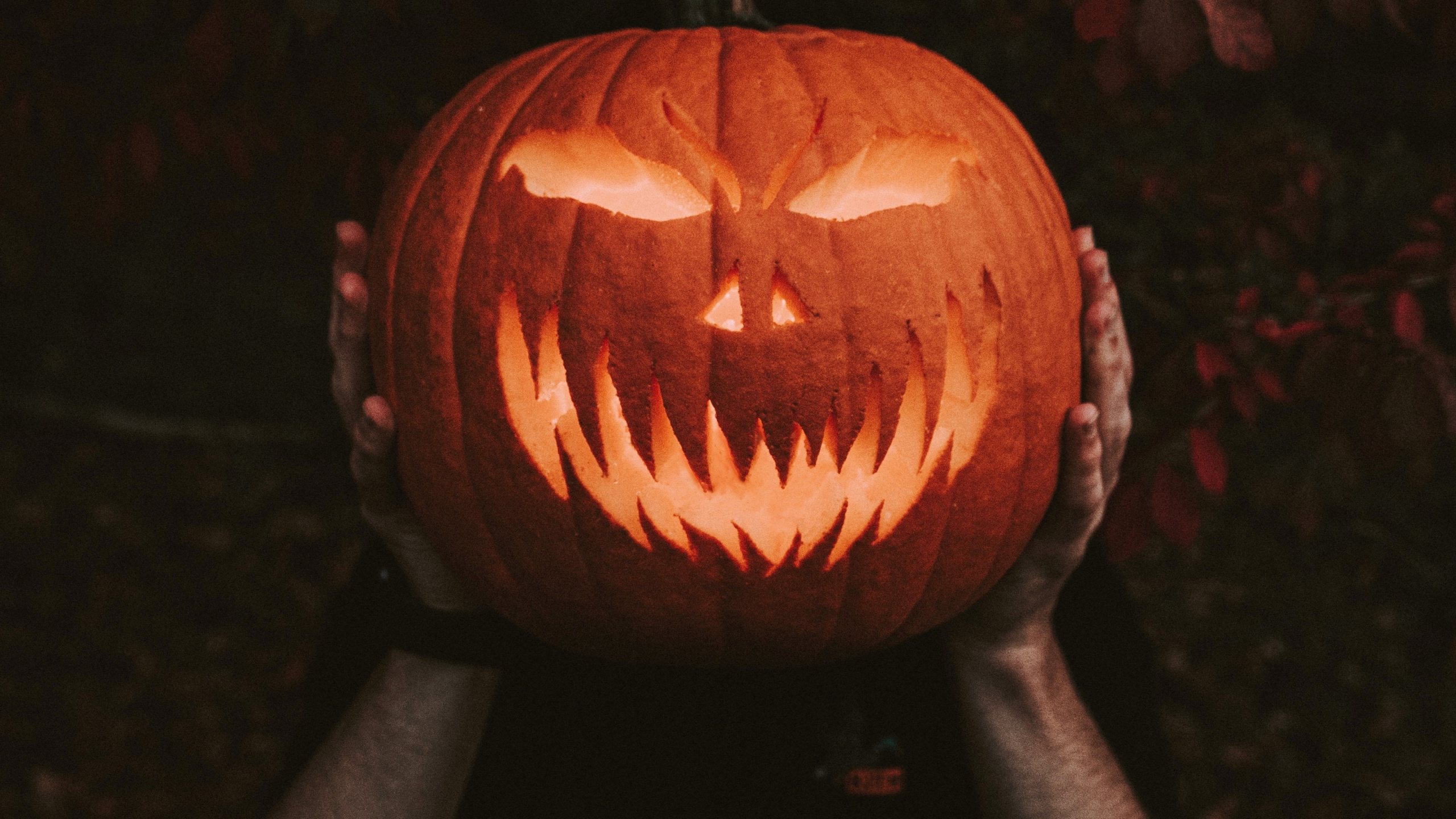 Обои Джек о фонарь, одежда, свеча, арт, резьба в разрешении 2560x1440