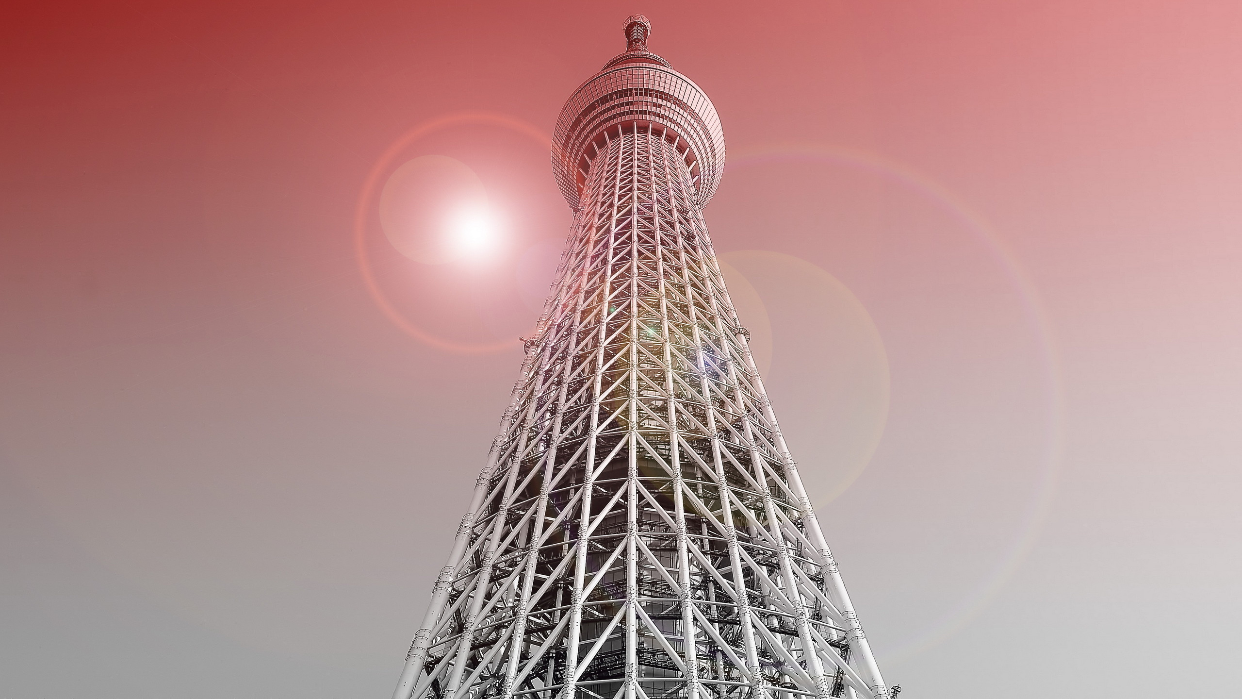 Обои Токио Skytree, вышка, цветение вишни, здание, небо в разрешении 2560x1440