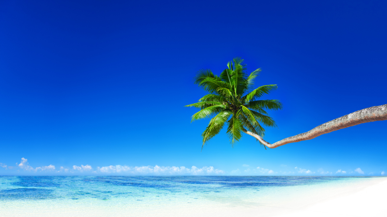 Обои море, пляж, берег, тропическая зона, океан в разрешении 1280x720