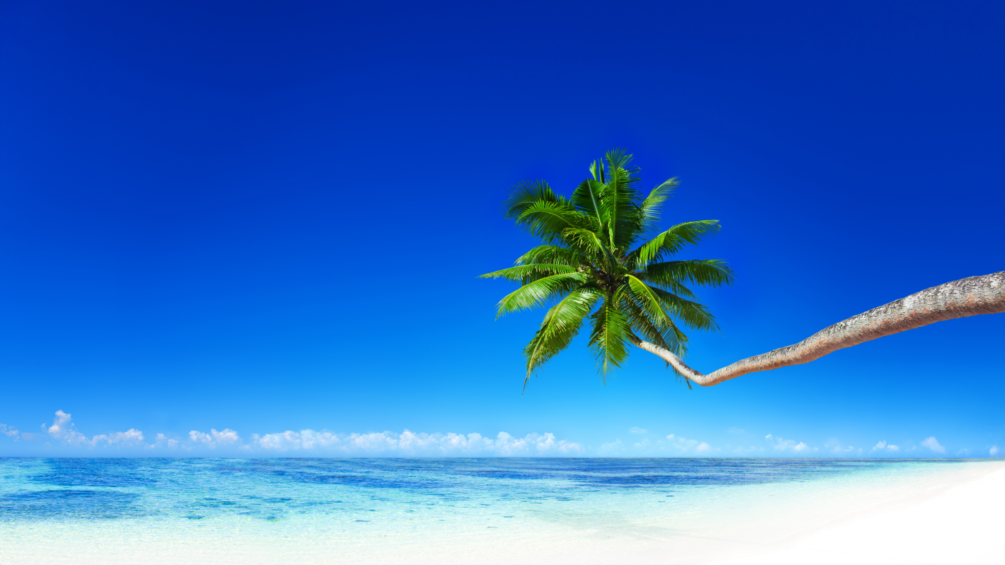 Обои море, пляж, берег, тропическая зона, океан в разрешении 3840x2160