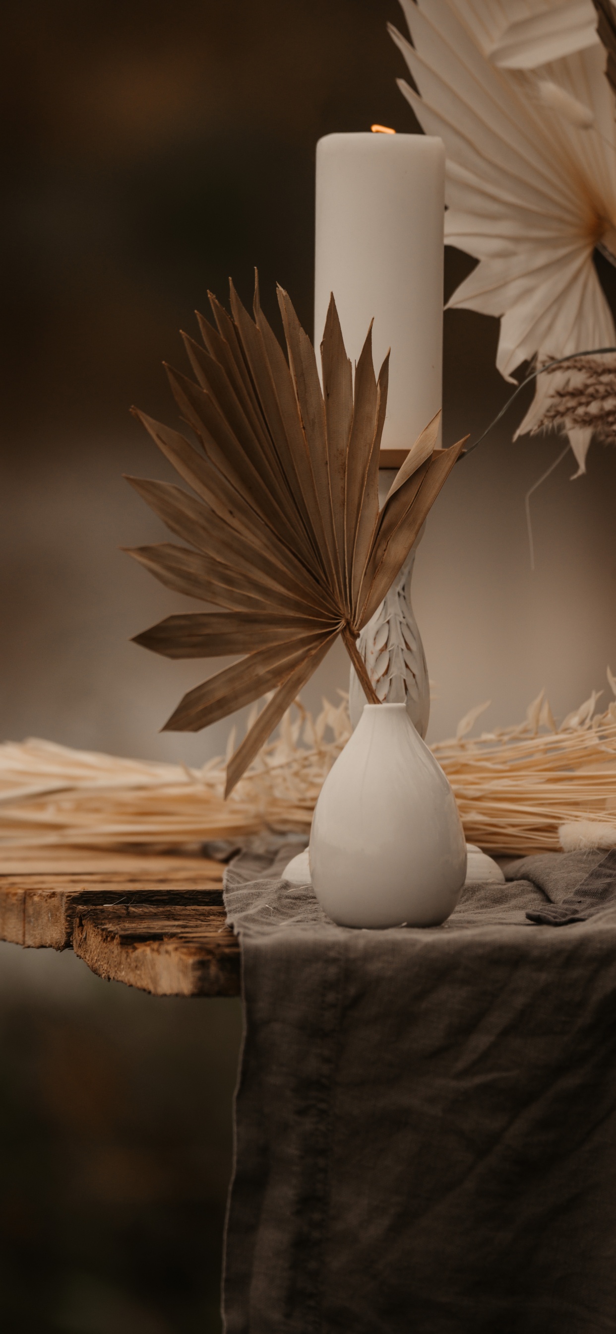 Обои перо, apple, натюрморт, прут, предмет в разрешении 1242x2688