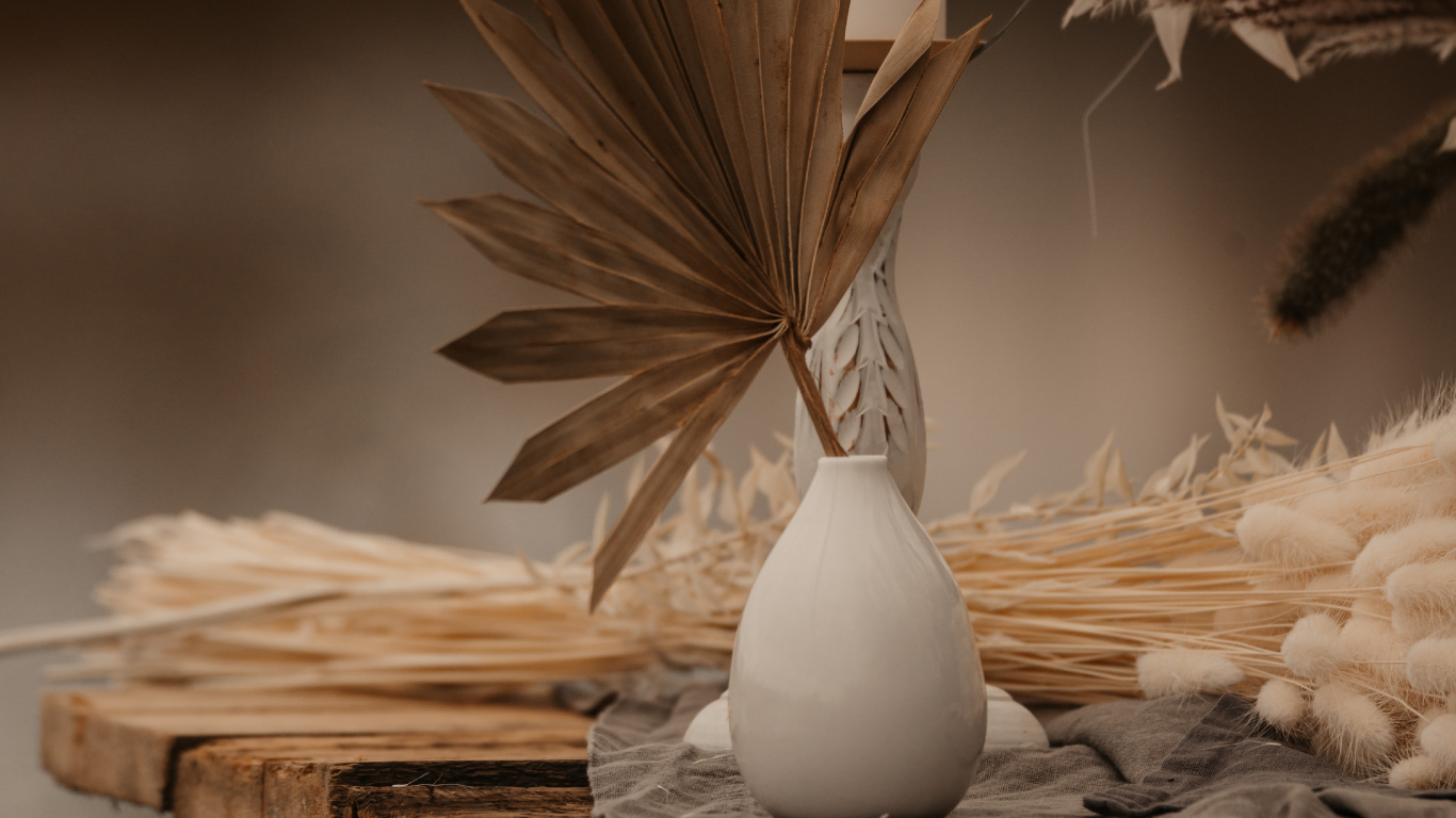 Обои перо, apple, натюрморт, прут, предмет в разрешении 1366x768