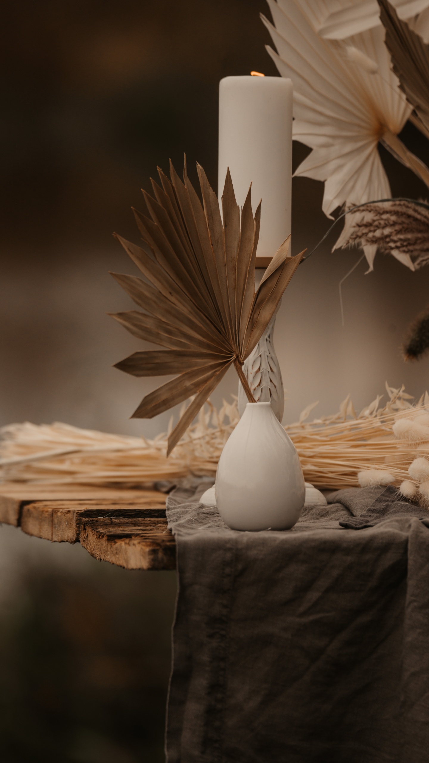 Обои перо, apple, натюрморт, прут, предмет в разрешении 1440x2560