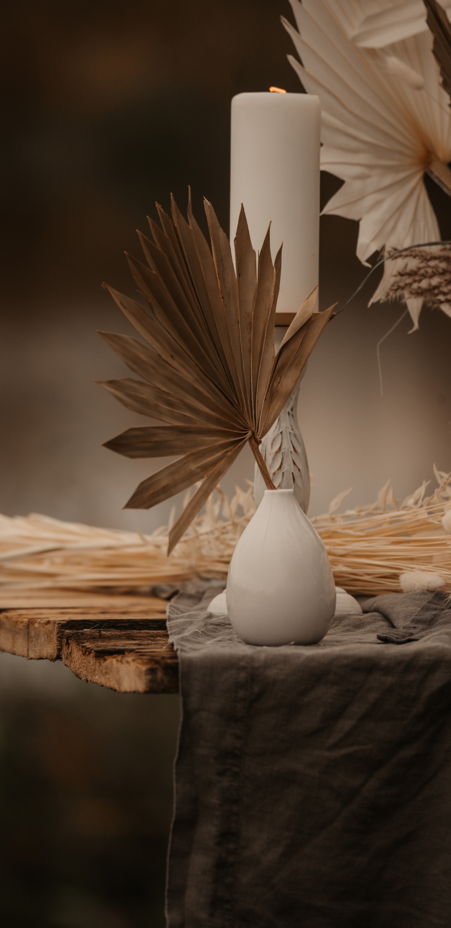 Обои перо, apple, натюрморт, прут, предмет в разрешении 1440x2960