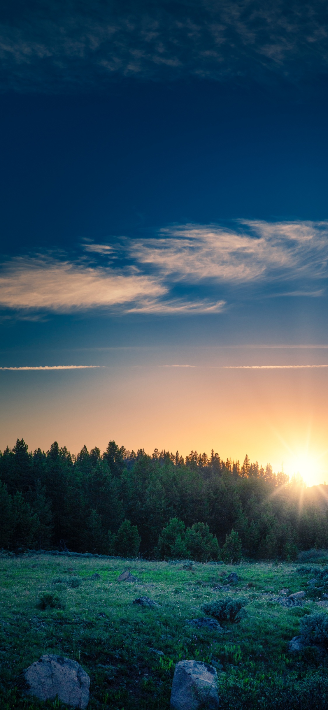Обои восход солнца, облако, атмосфера, растение, синий в разрешении 1125x2436