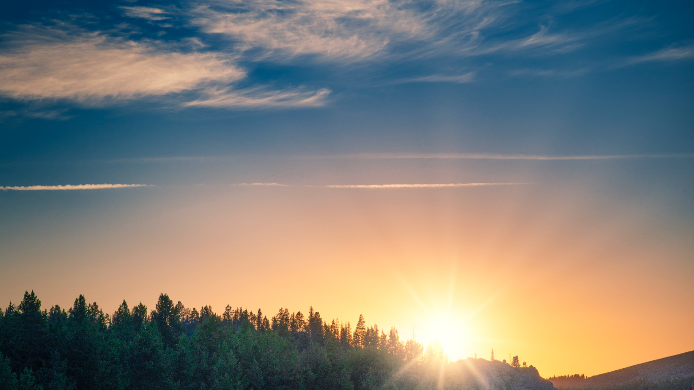 Обои восход солнца, облако, атмосфера, растение, синий в разрешении 1366x768