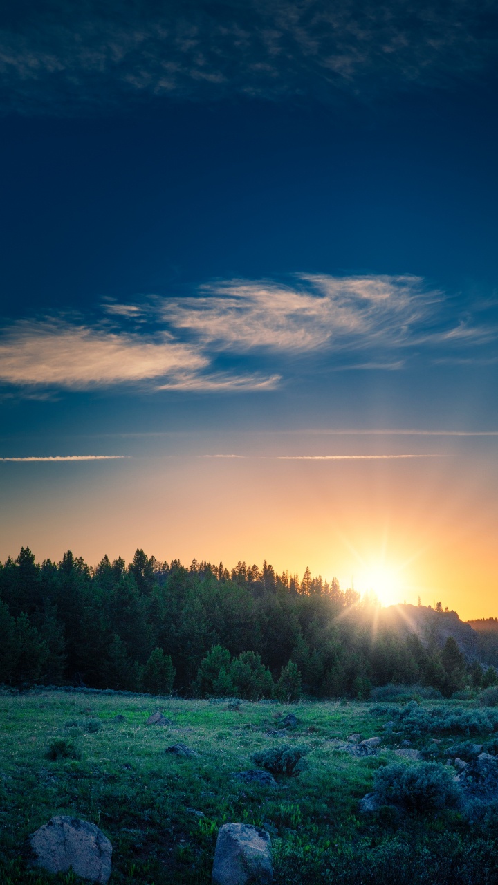 Обои восход солнца, облако, атмосфера, растение, синий в разрешении 720x1280