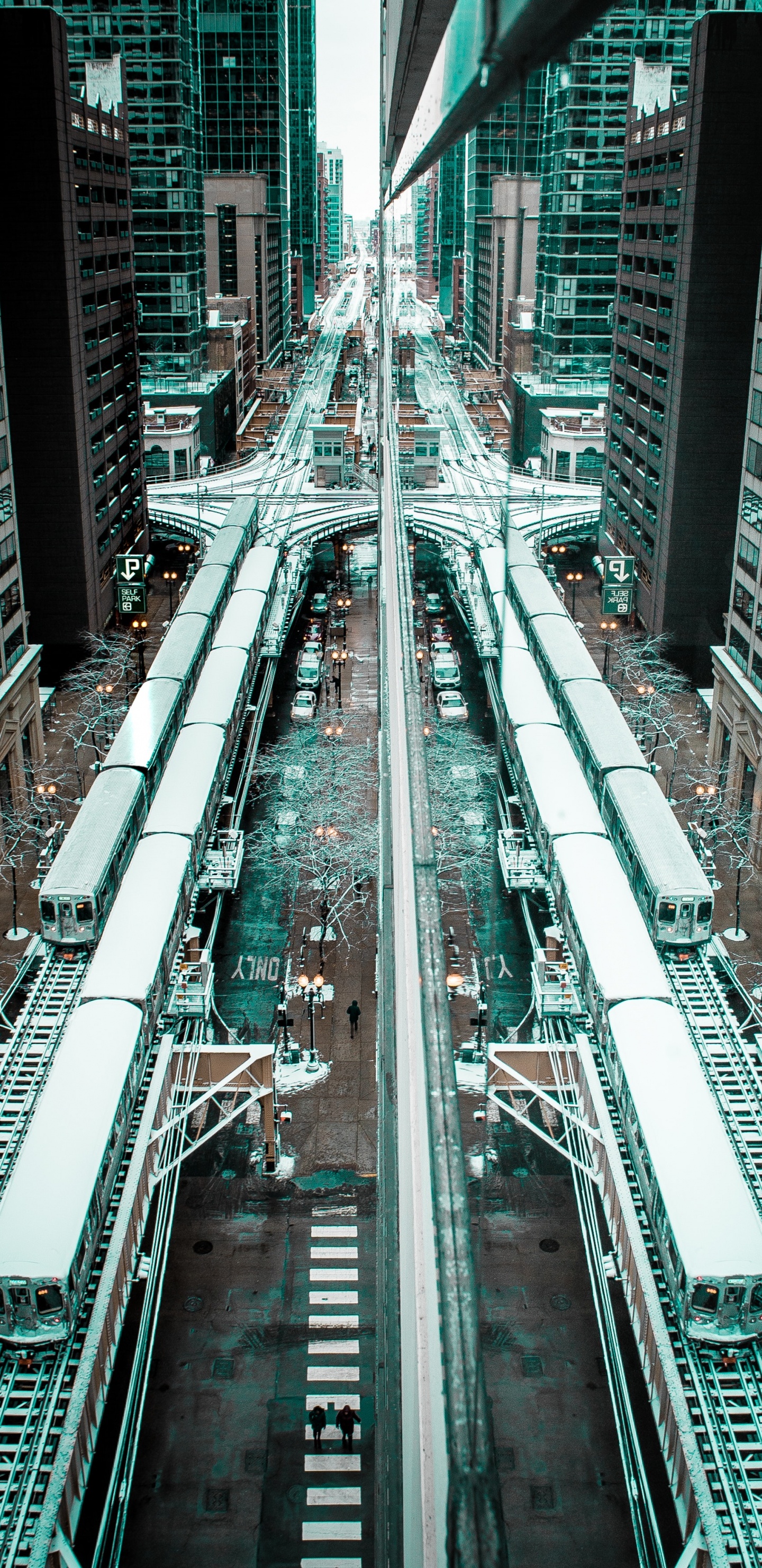 Обои метрополия, городской район, небоскреб, город, населенный пункт в разрешении 1440x2960