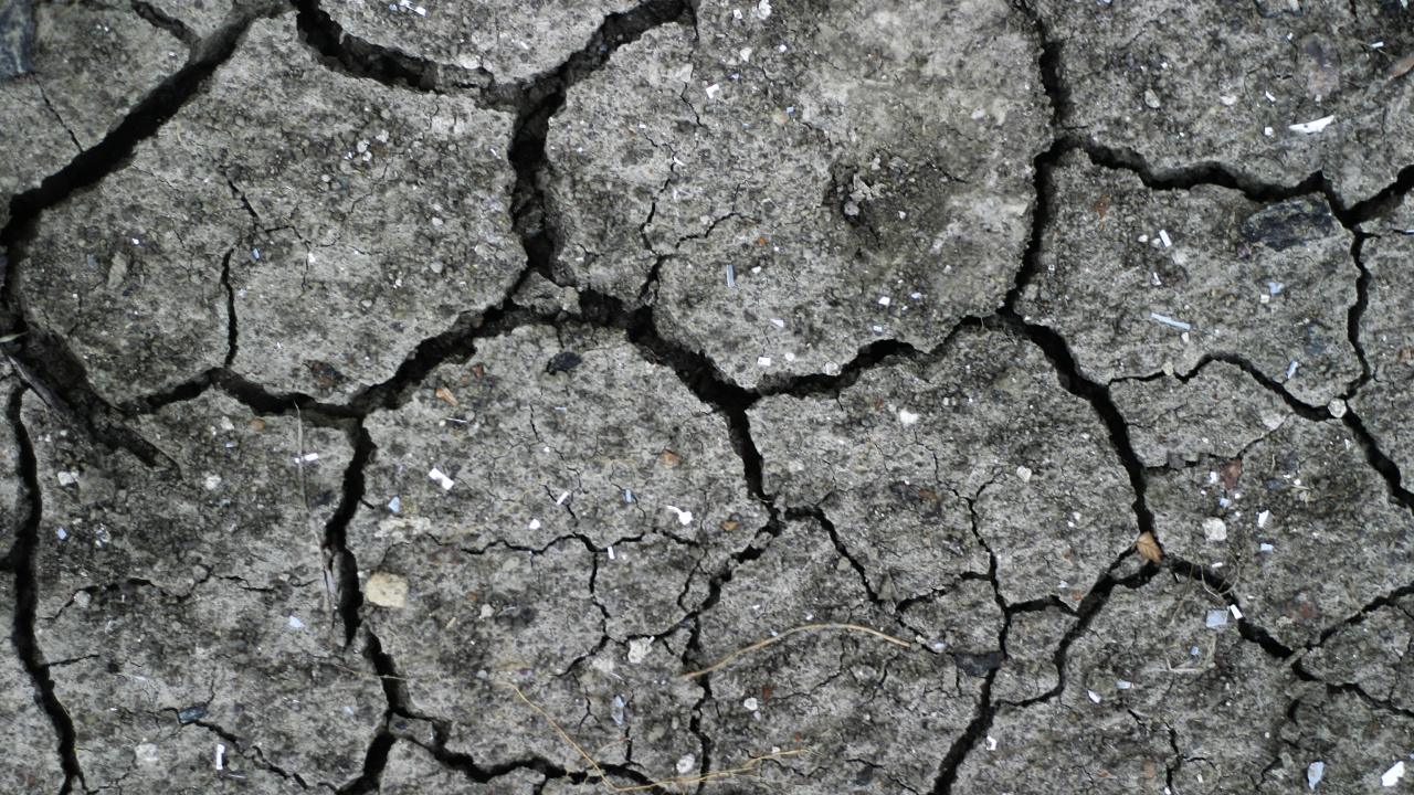 Обои текстура, засуха, почва, дорожное покрытие, узор в разрешении 1280x720
