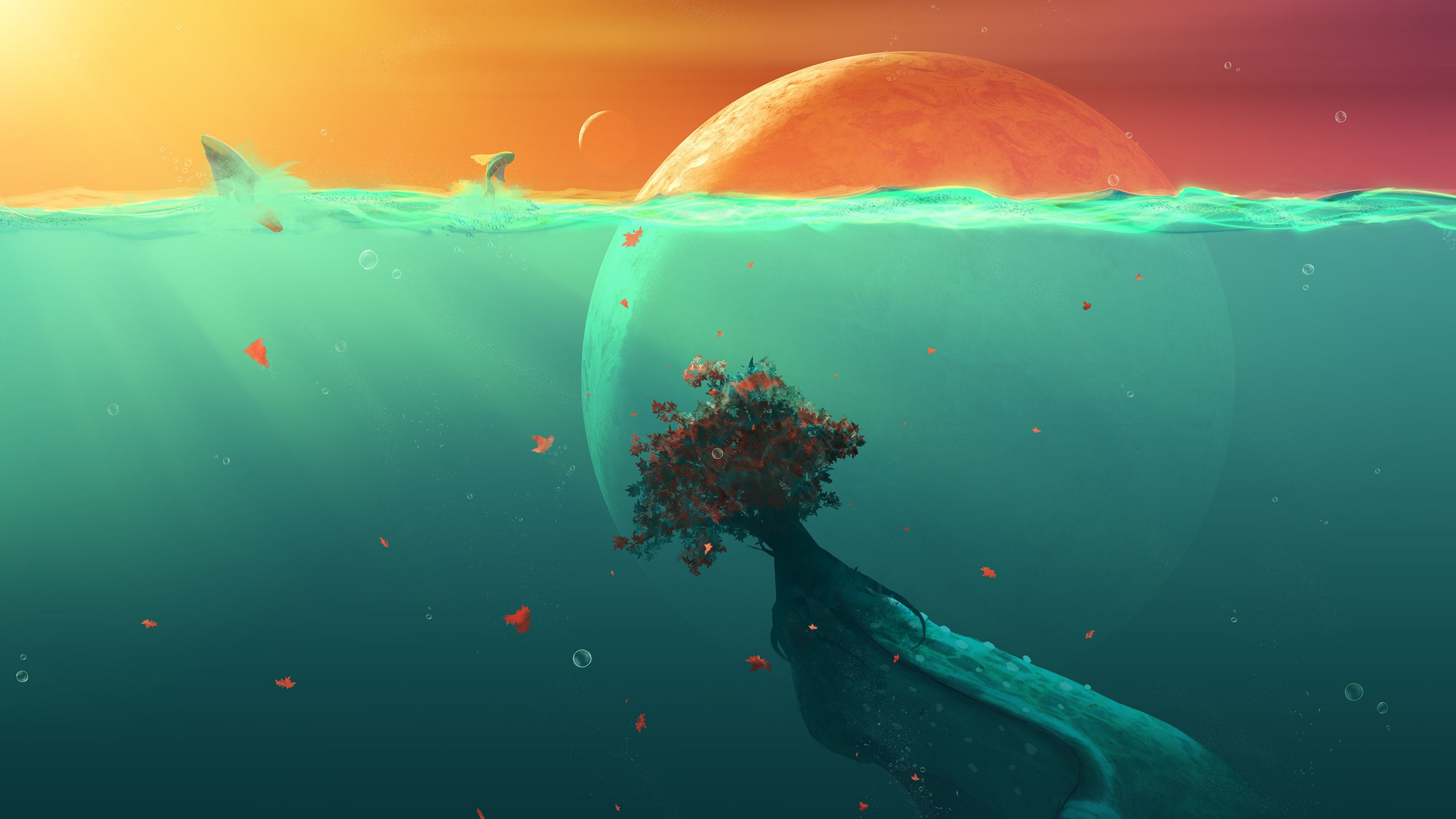 Обои зеленый, вода, синий, Аква, бирюза в разрешении 2560x1440