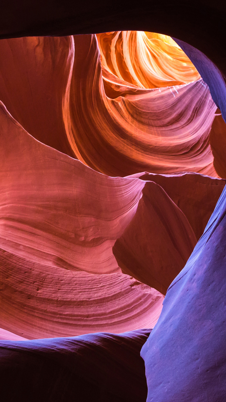 Обои каньон антилопы, каньон, Слот каньон, пурпур, лепесток в разрешении 750x1334