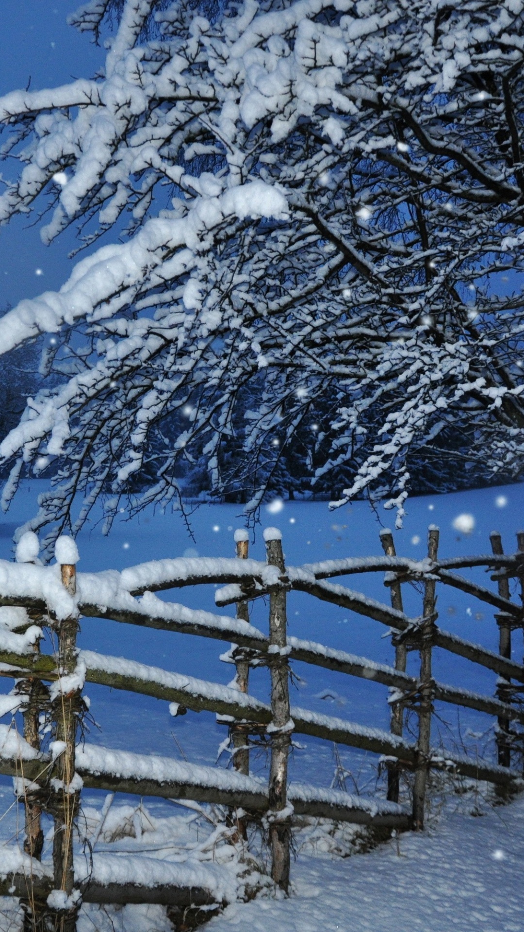 Обои снег, зима, дерево, замораживание, мороз в разрешении 1080x1920