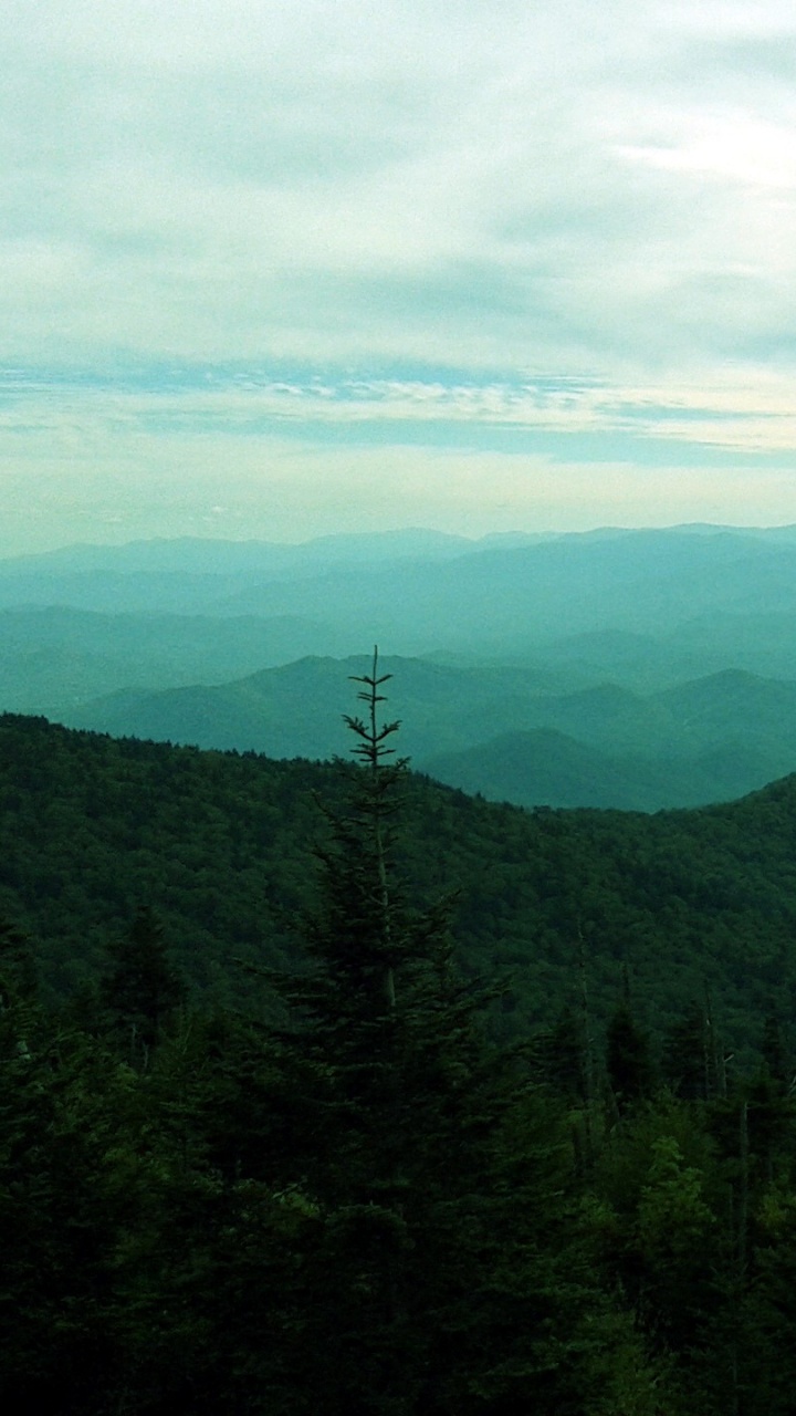 Обои гора, горный рельеф, зеленый, нагорье, хребет в разрешении 720x1280