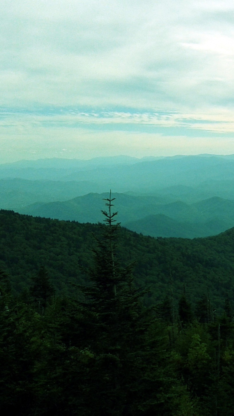 Обои гора, горный рельеф, зеленый, нагорье, хребет в разрешении 750x1334