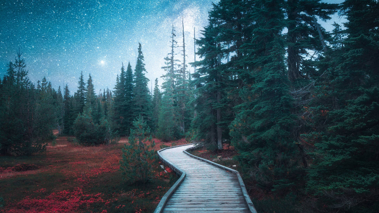 Обои природа, облако, растение, природный ландшафт, дерево в разрешении 1280x720