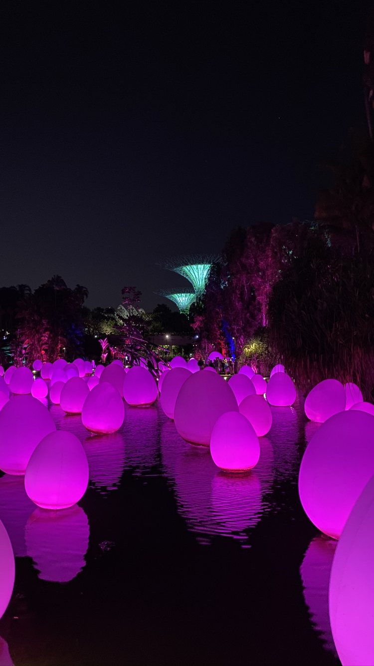 Обои Сингапур, свет, физика, наука, ночь в разрешении 750x1334