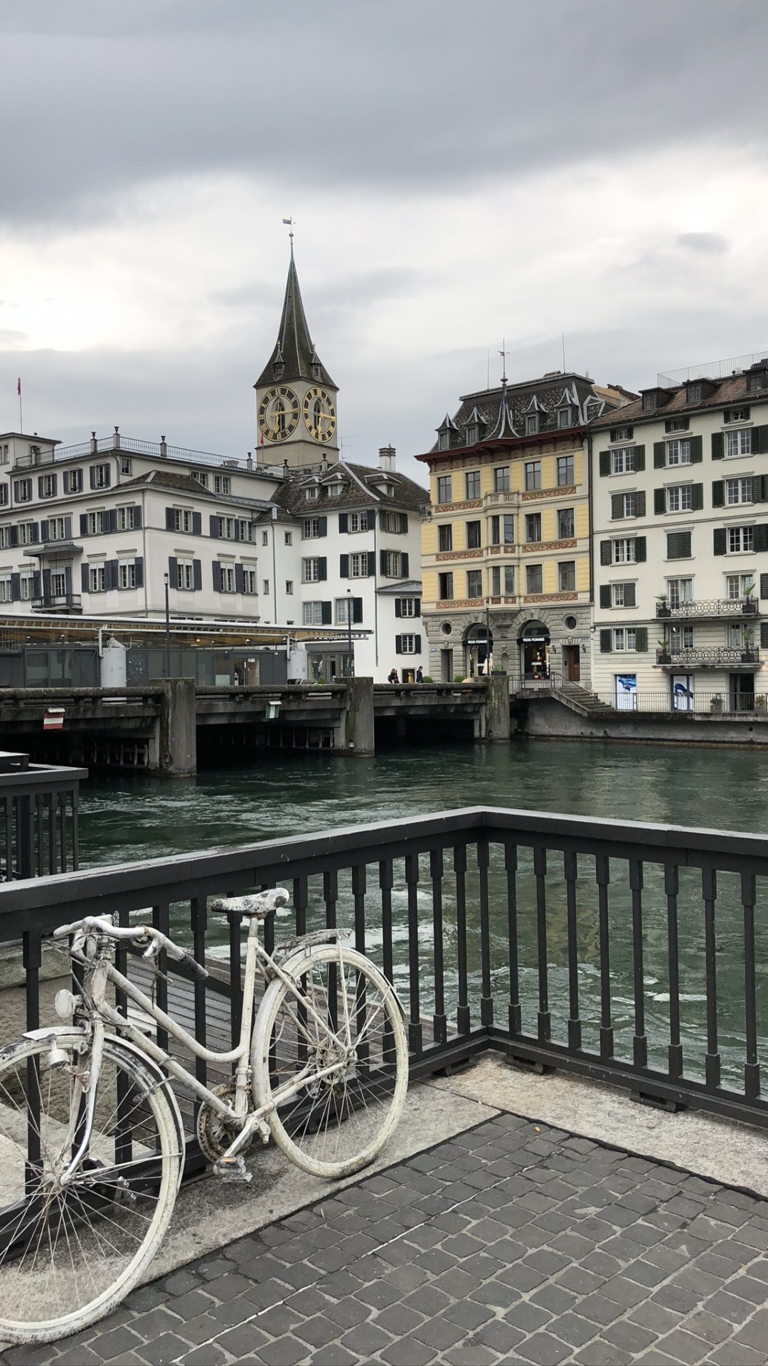 Обои вдоль реки, велосипедная шина, колесо, велосипедное колесо, обод колеса велосипеда в разрешении 1080x1920