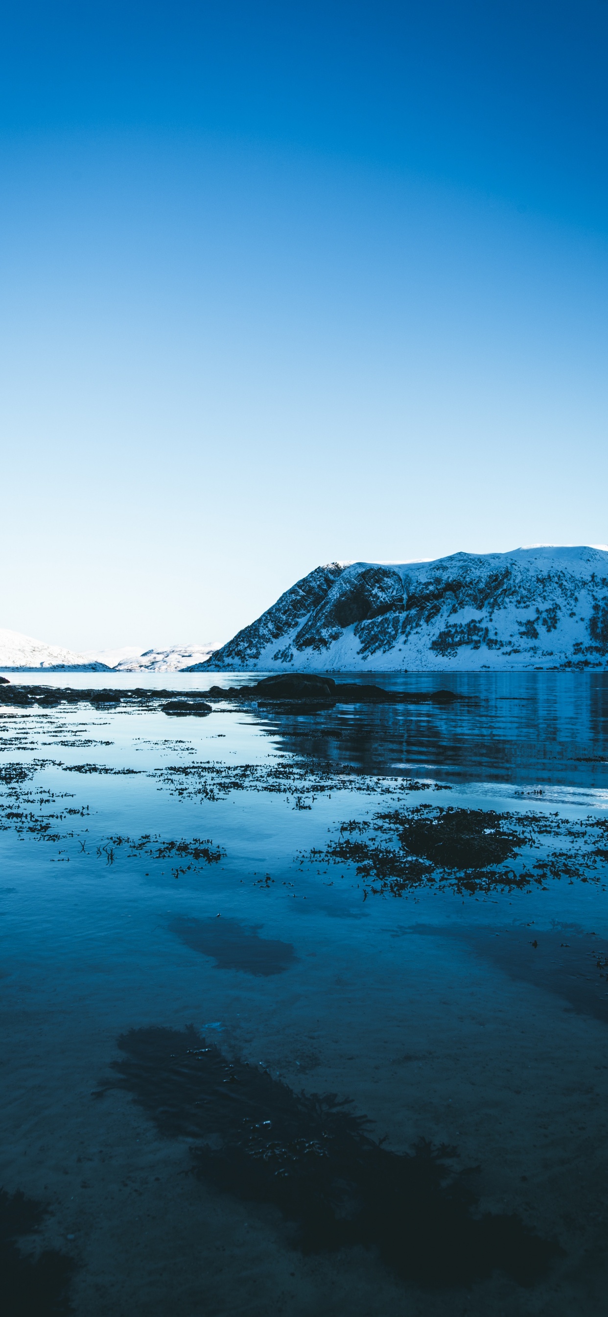 Обои ледник, Северный Ледовитый океан, ледниковое озеро, синий, природа в разрешении 1242x2688