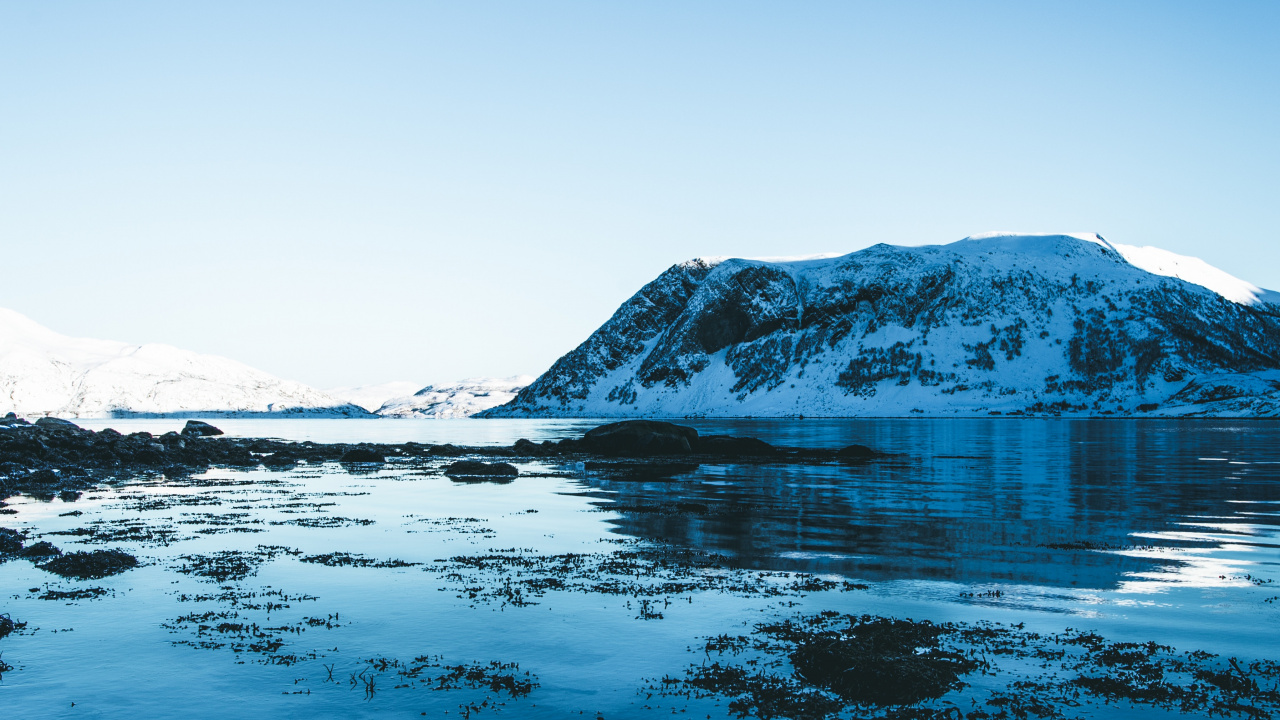 Обои ледник, Северный Ледовитый океан, ледниковое озеро, синий, природа в разрешении 1280x720