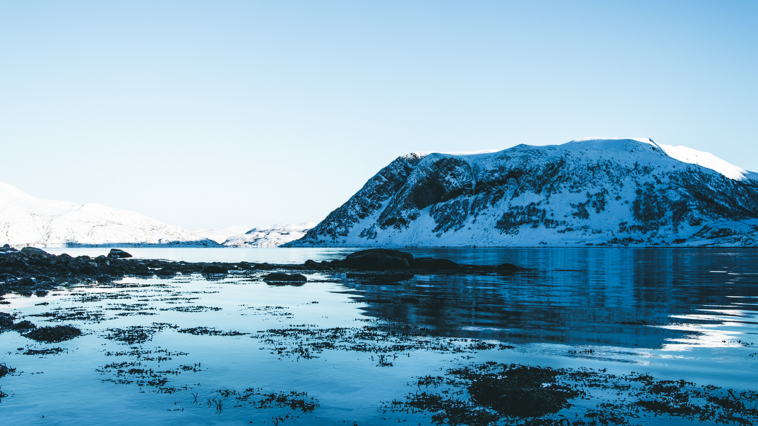 Обои ледник, Северный Ледовитый океан, ледниковое озеро, синий, природа в разрешении 2560x1440